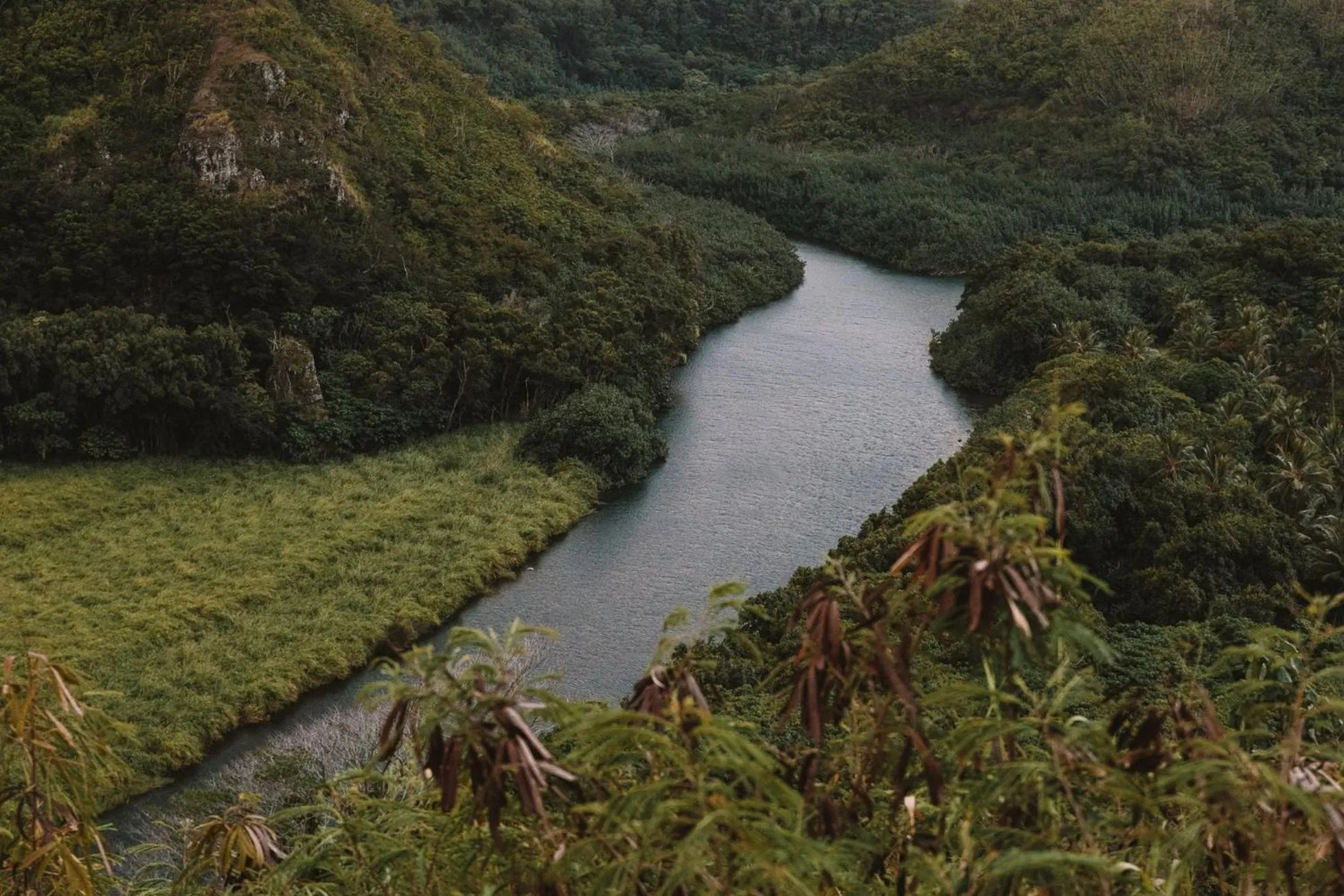 Area and facilities in Plantation Hale Suites