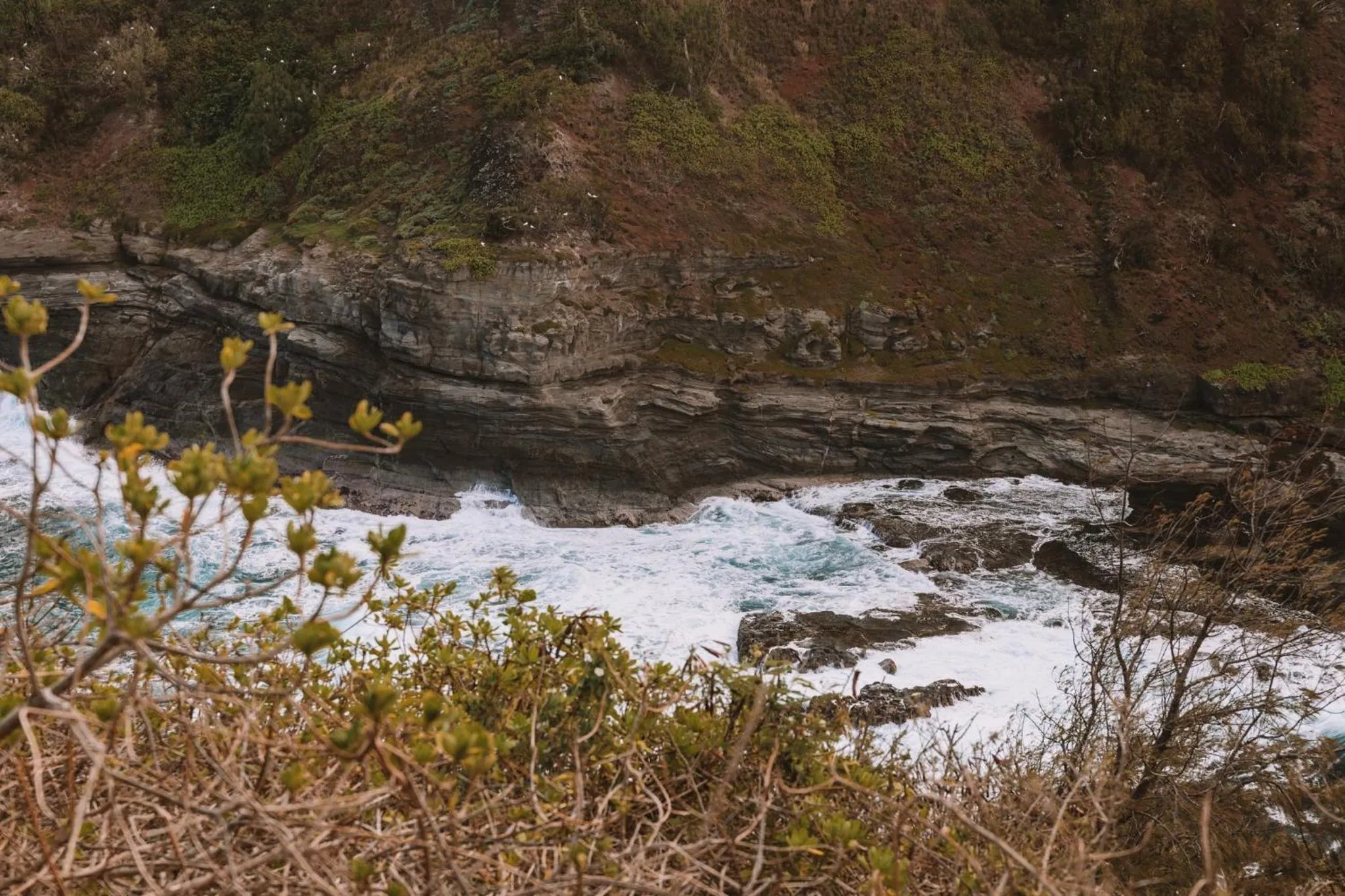 Area and facilities in Plantation Hale Suites