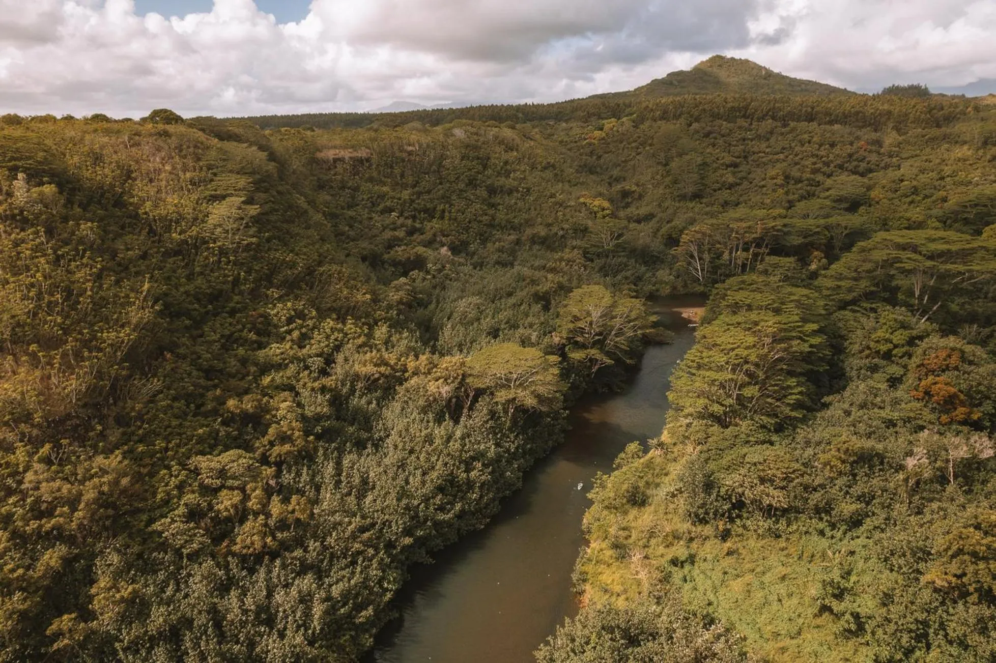 Area and facilities in Plantation Hale Suites