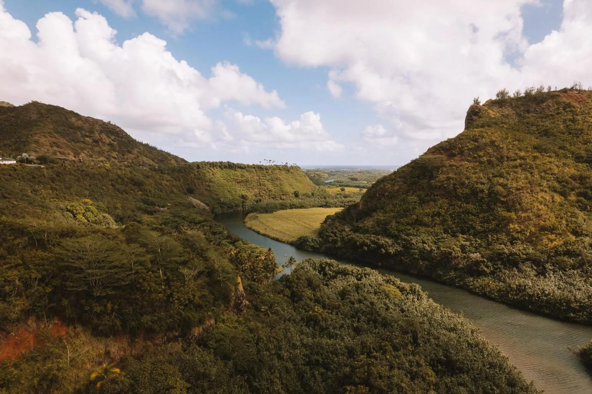 Area and facilities in Plantation Hale Suites