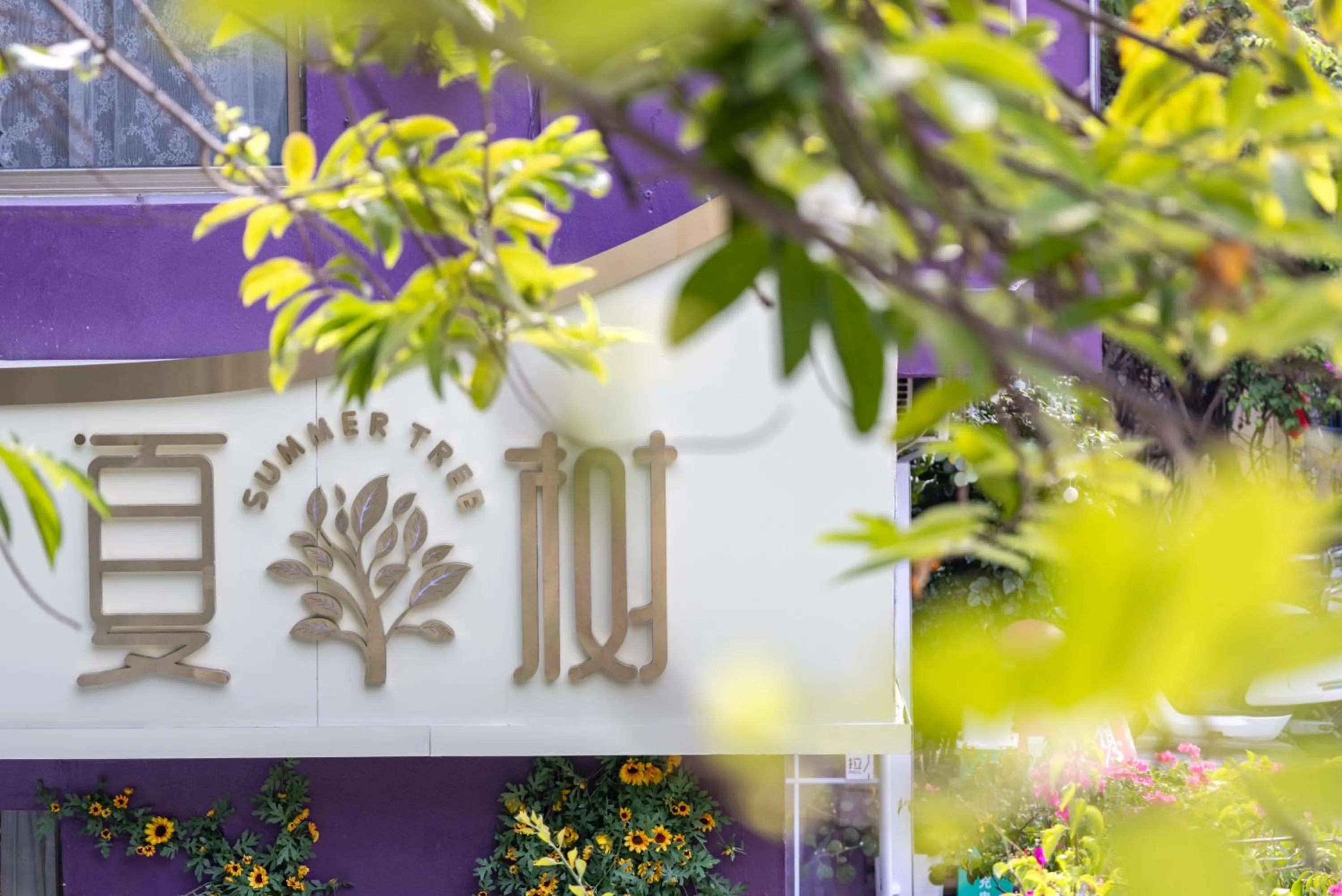 Property building in Summer Tree Inn