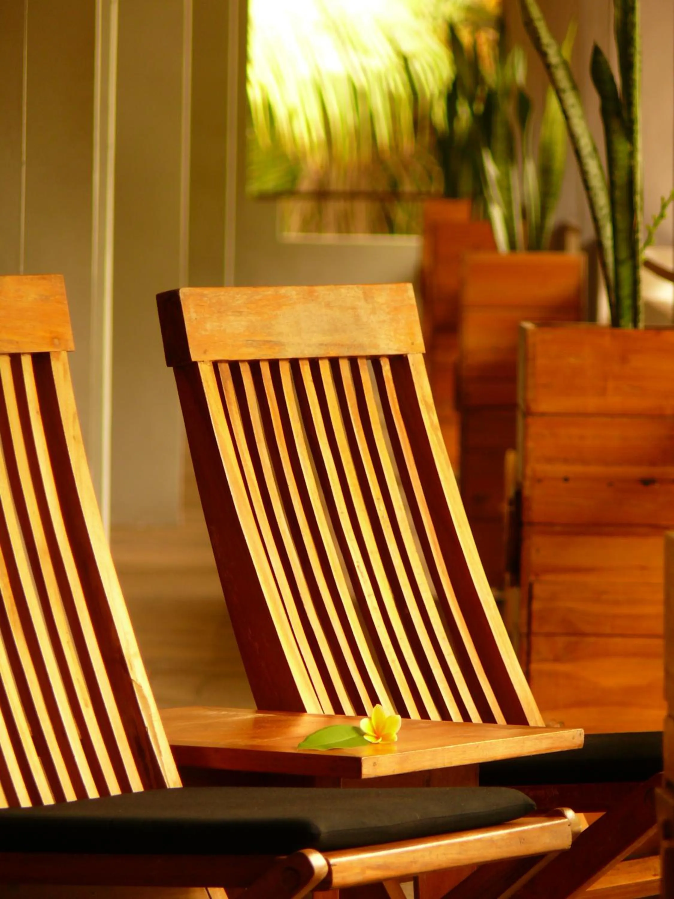 Balcony/Terrace in JavaCove Beach Hotel