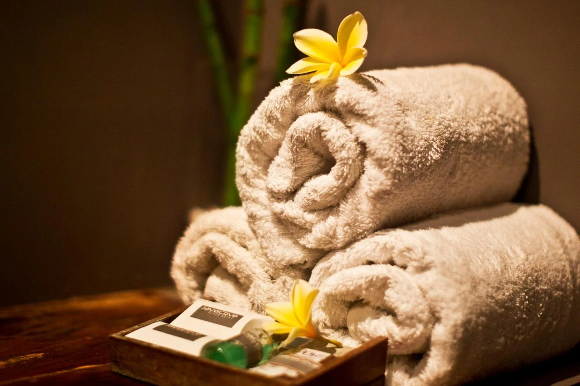 Decorative detail in JavaCove Beach Hotel