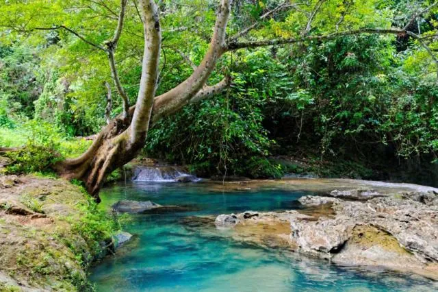 Activities in JavaCove Beach Hotel