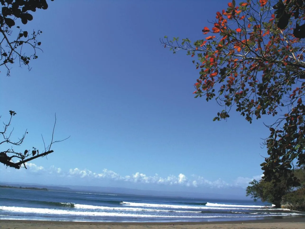 Beach in JavaCove Beach Hotel