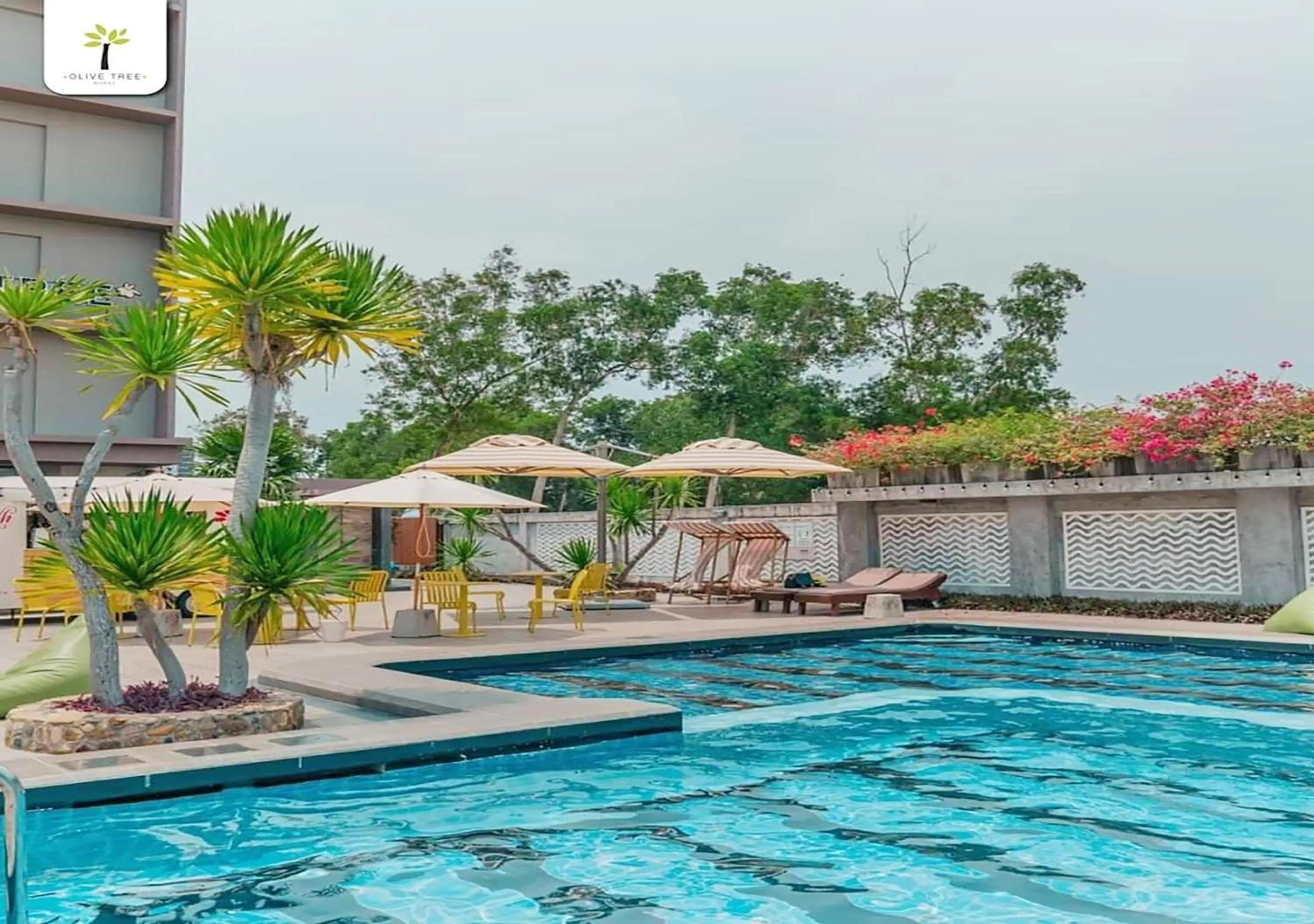 Swimming pool in Olive Tree Hotel Pattaya