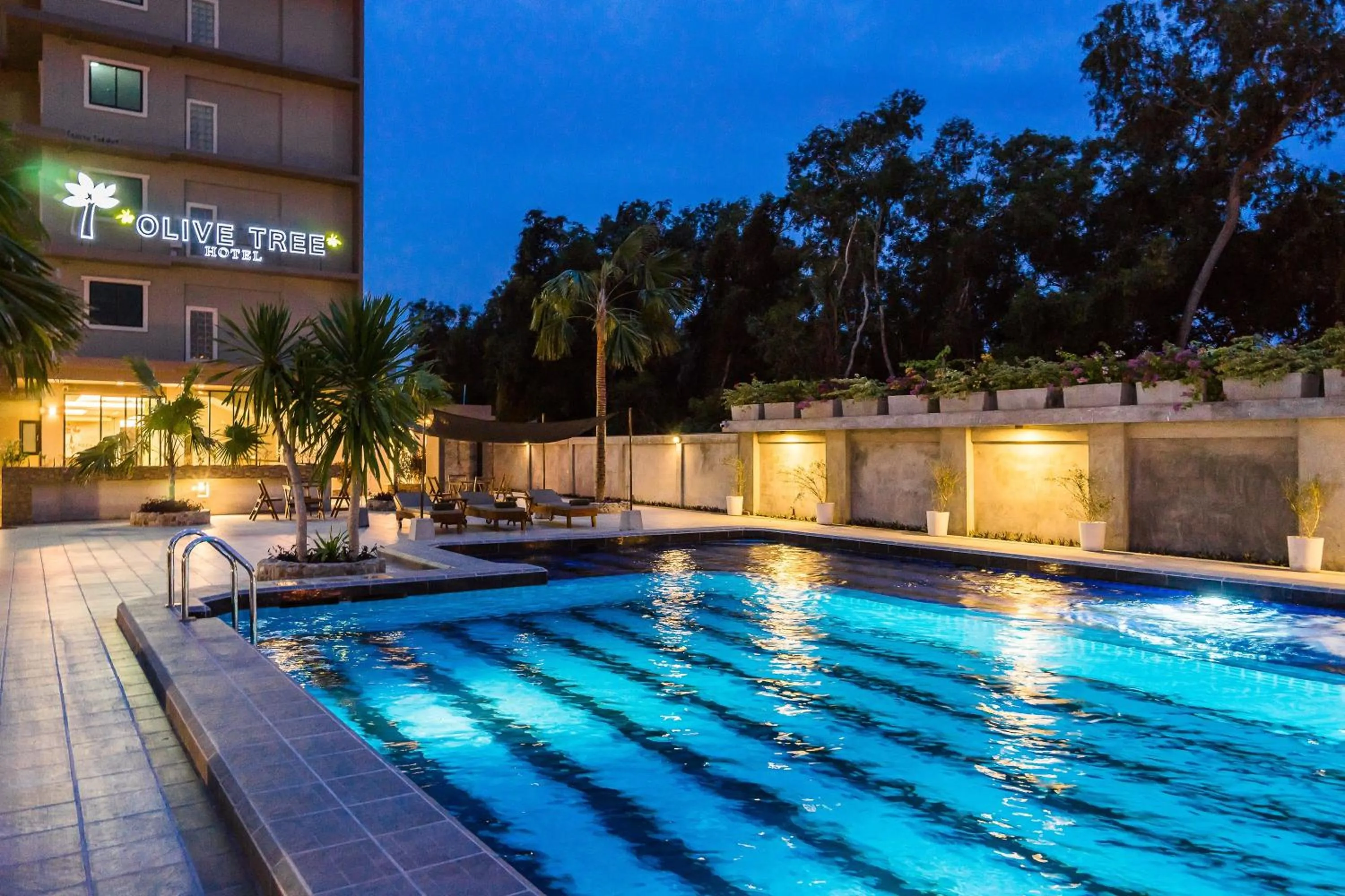 Swimming pool in Olive Tree Hotel Pattaya