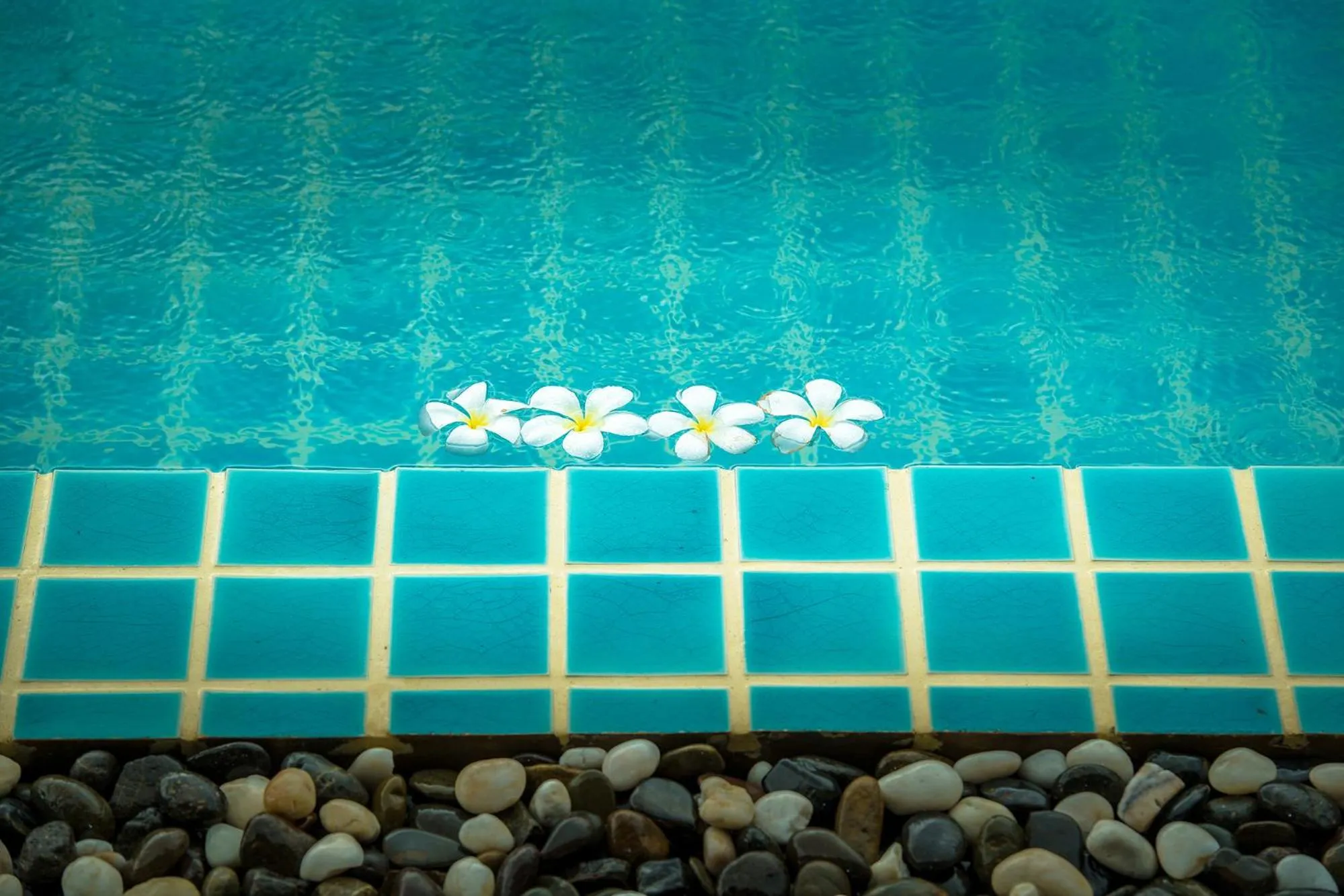 Vino Neste Private Pool Villas