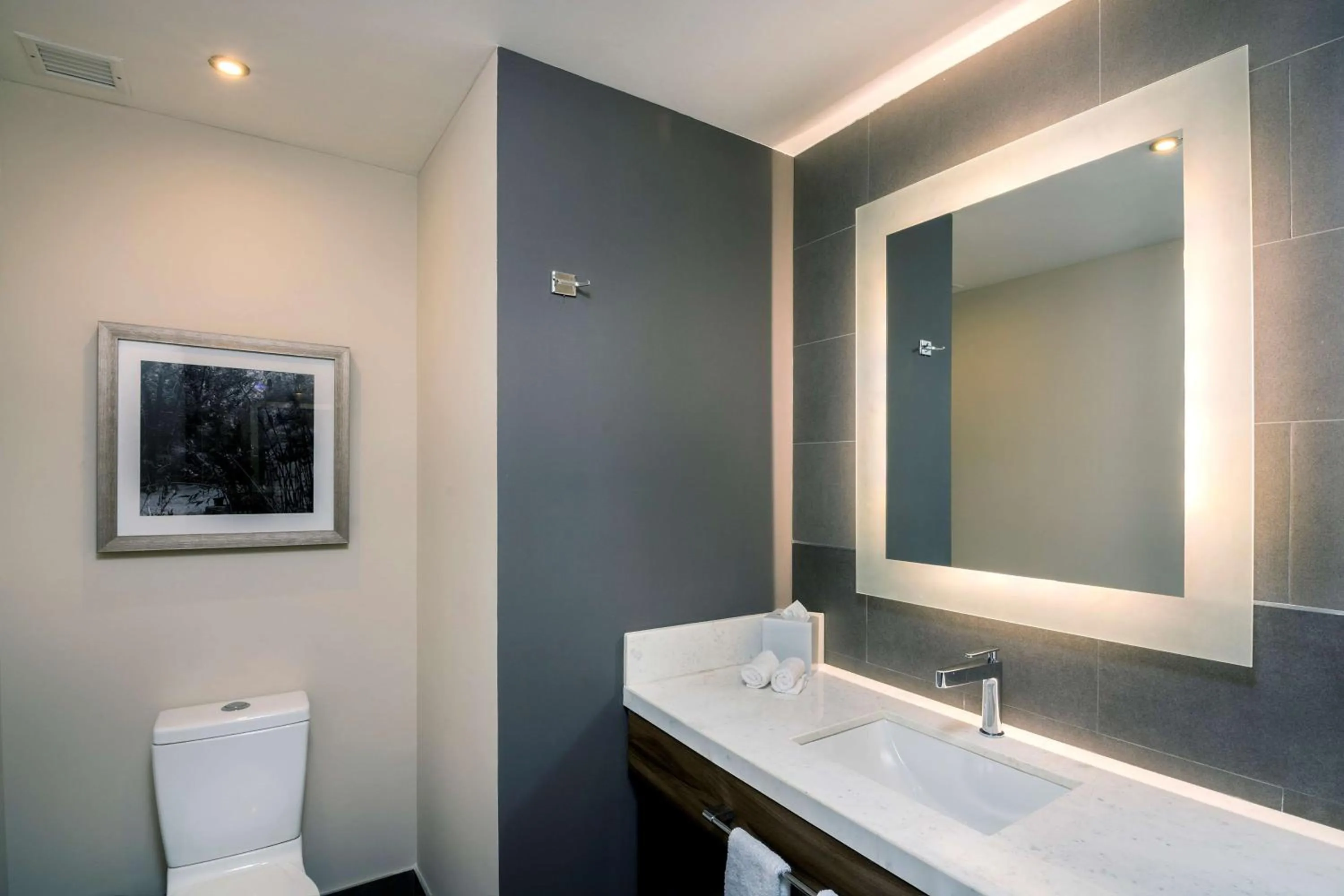 Bathroom in Hilton Garden Inn Aguascalientes