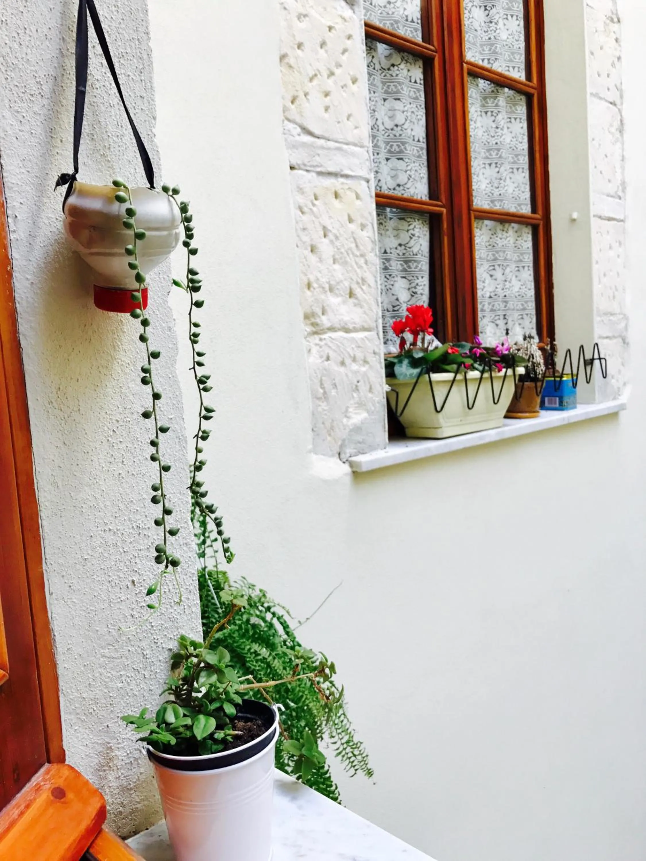 Property building in Jacaranda