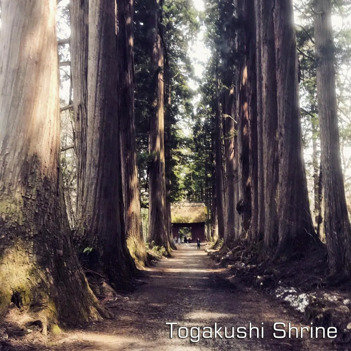 Nearby landmark in Hotel Tsubakino