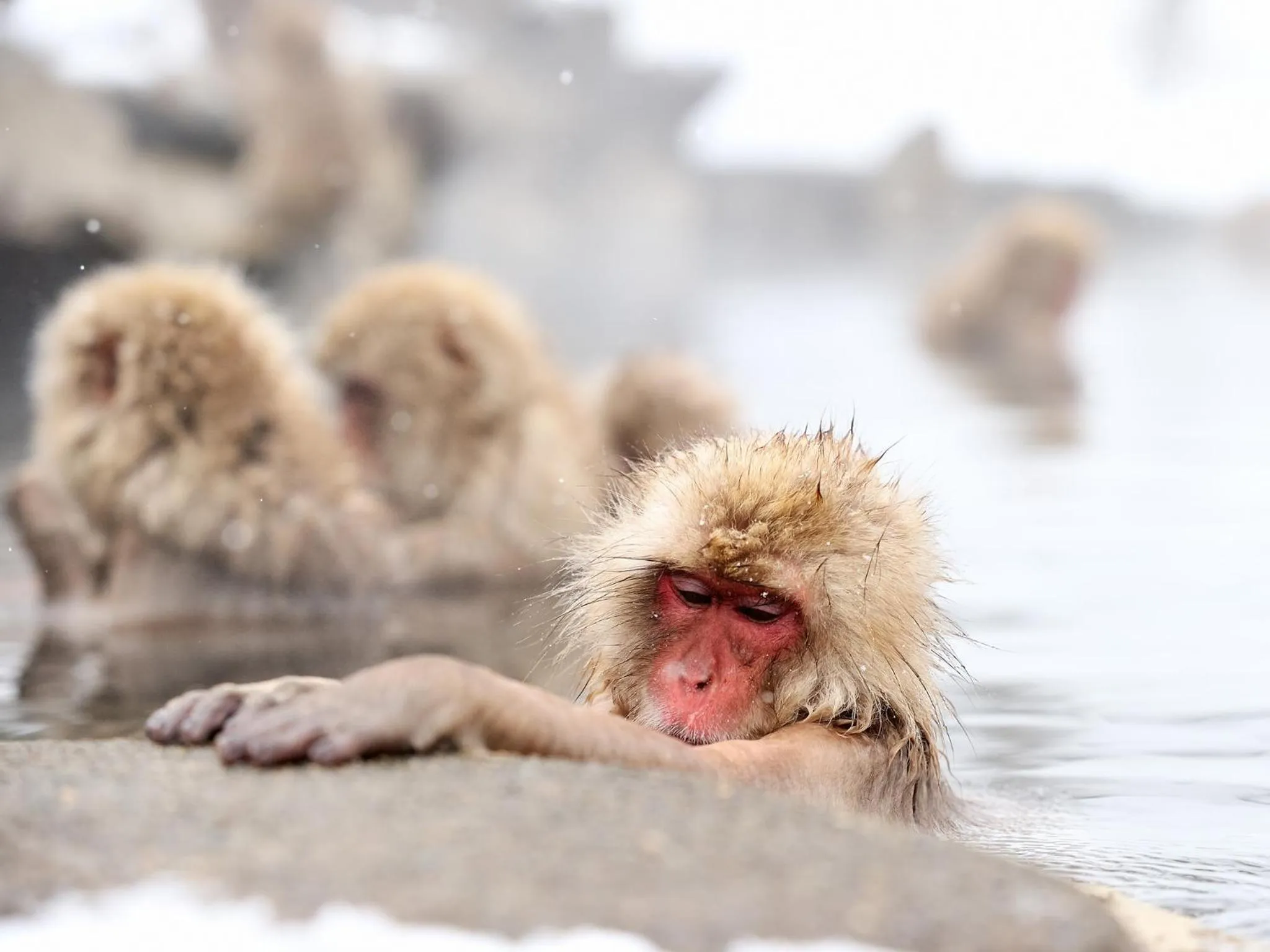 Nearby landmark in Hotel Tsubakino