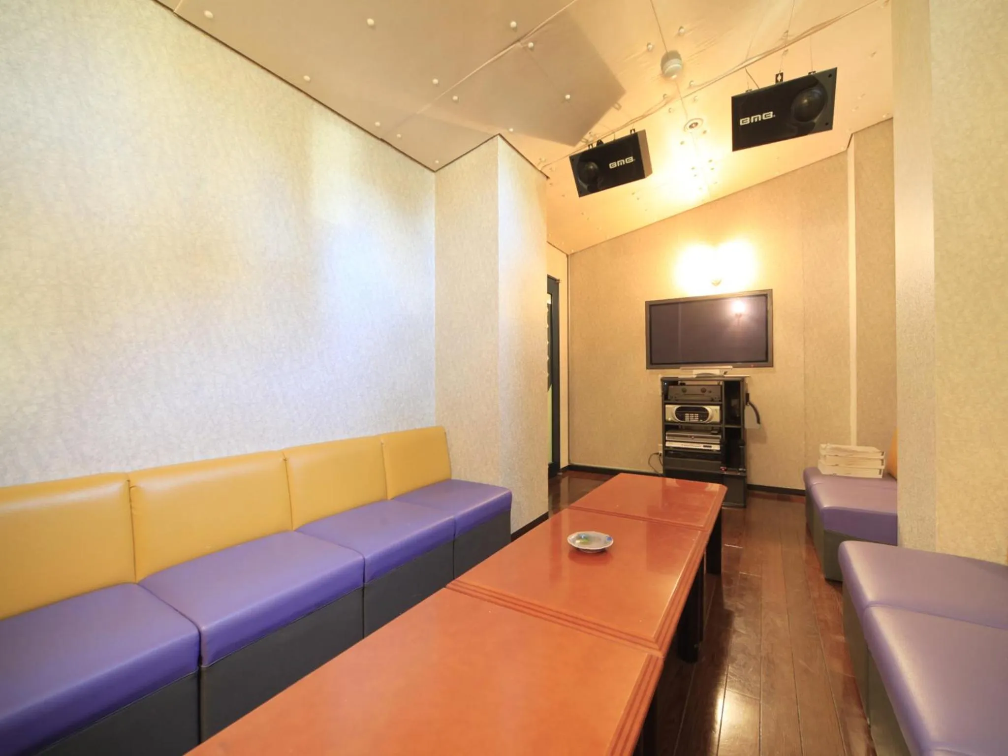 Karaoke in Hotel Tsubakino