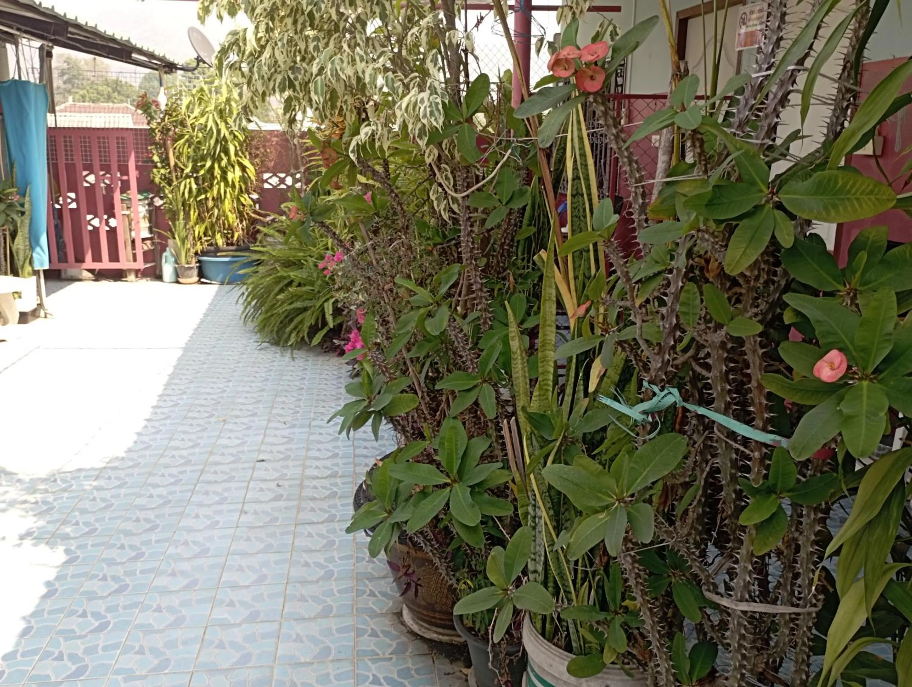 Sabaydee House at Pai