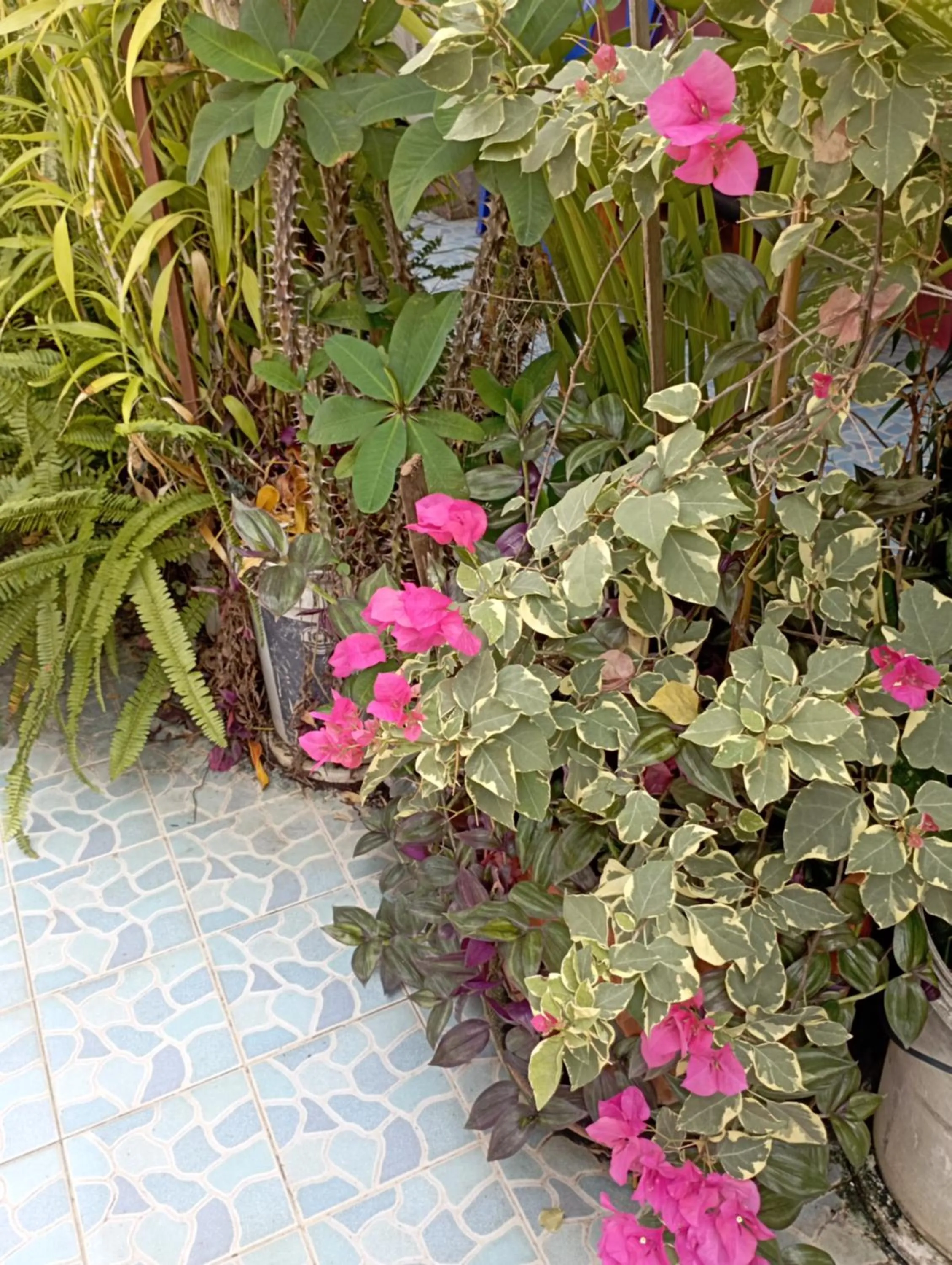 Sabaydee House at Pai