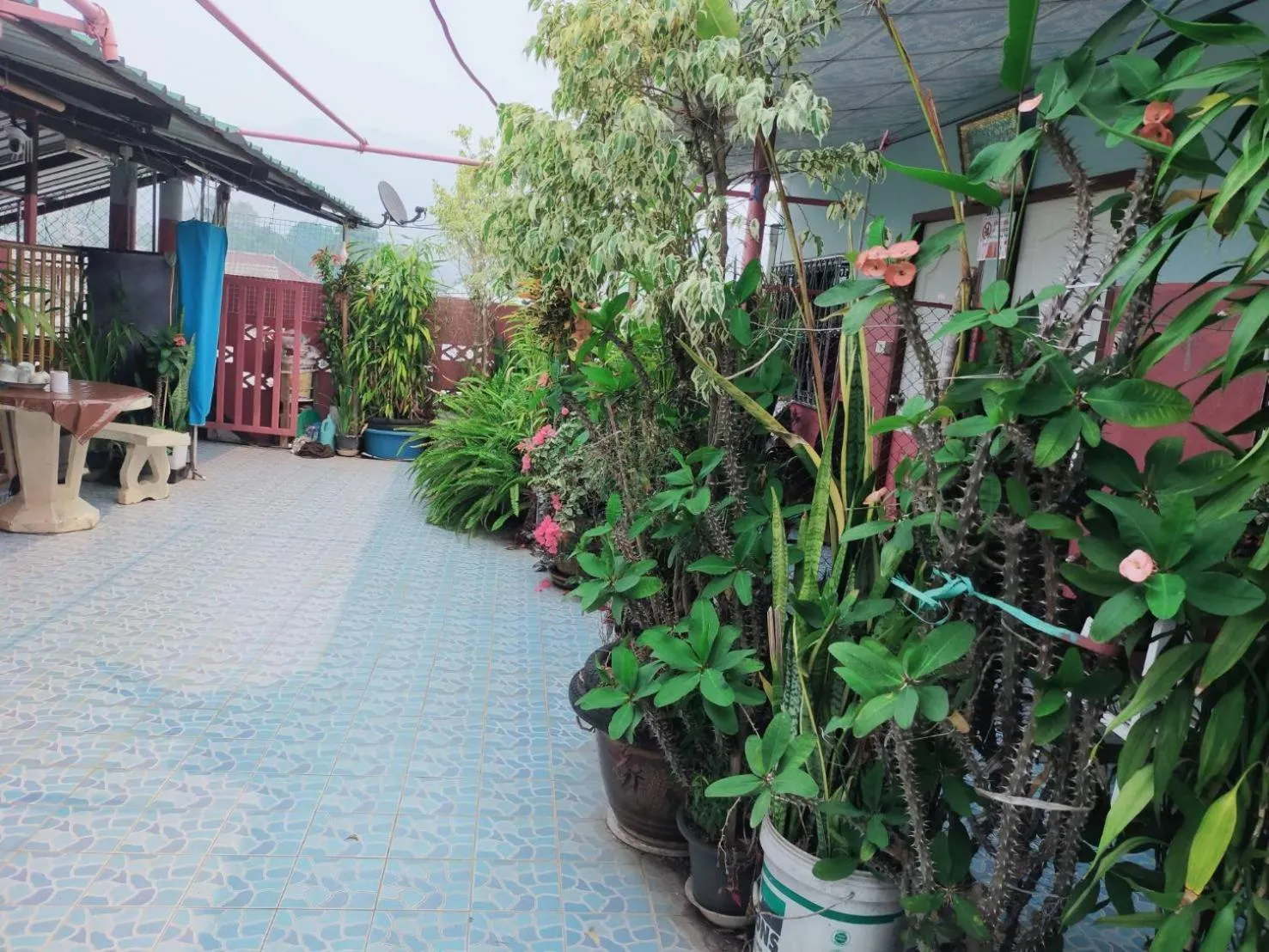 Sabaydee House at Pai