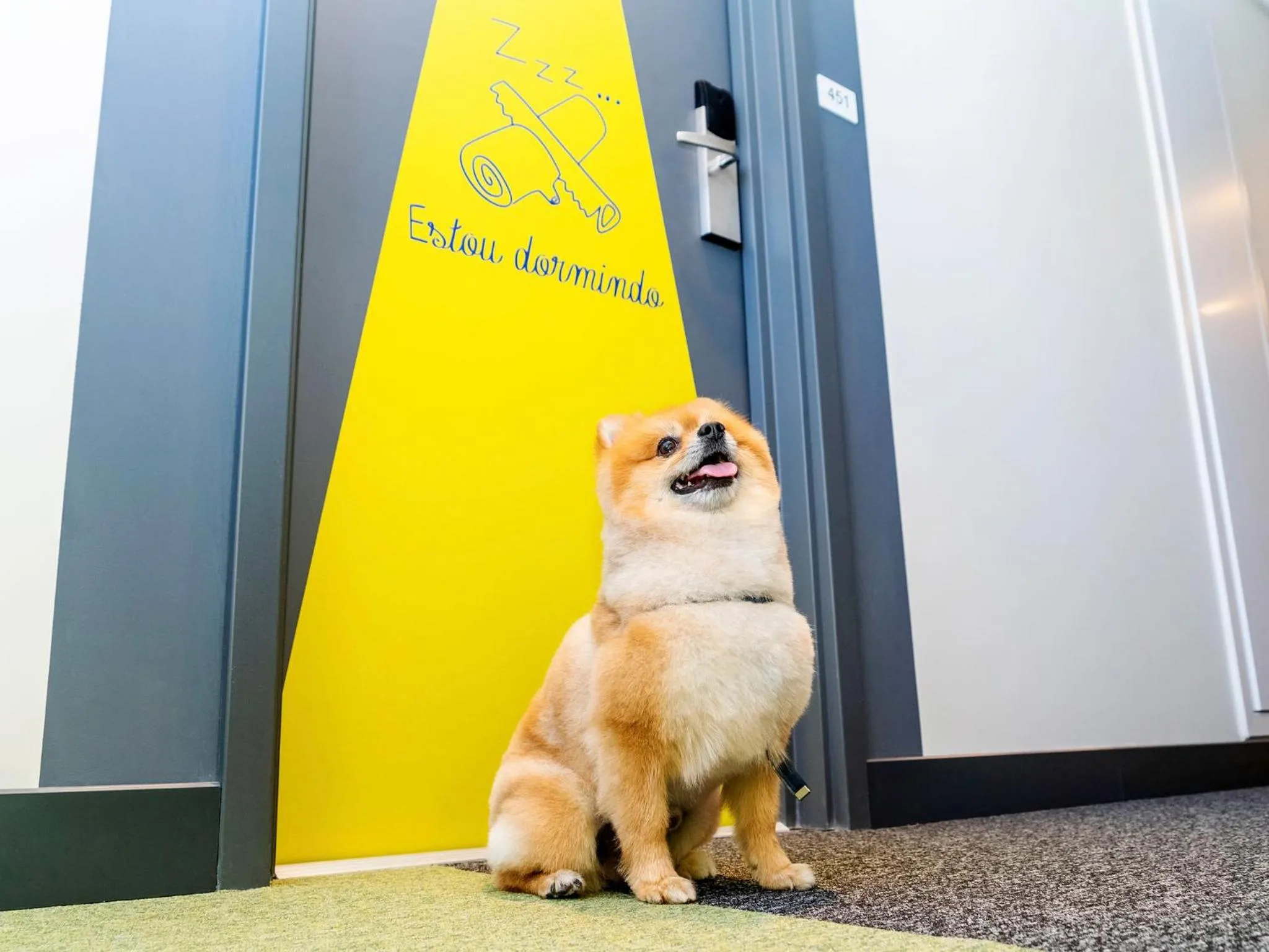 Pets in ibis budget Navegantes Itajai