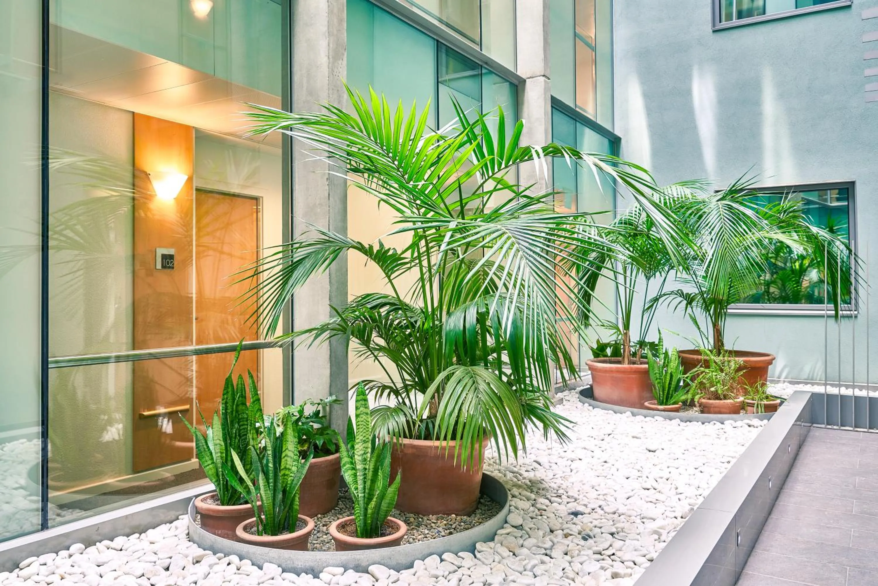 Garden in Ibis Barcelona Centro (Sagrada Familia)