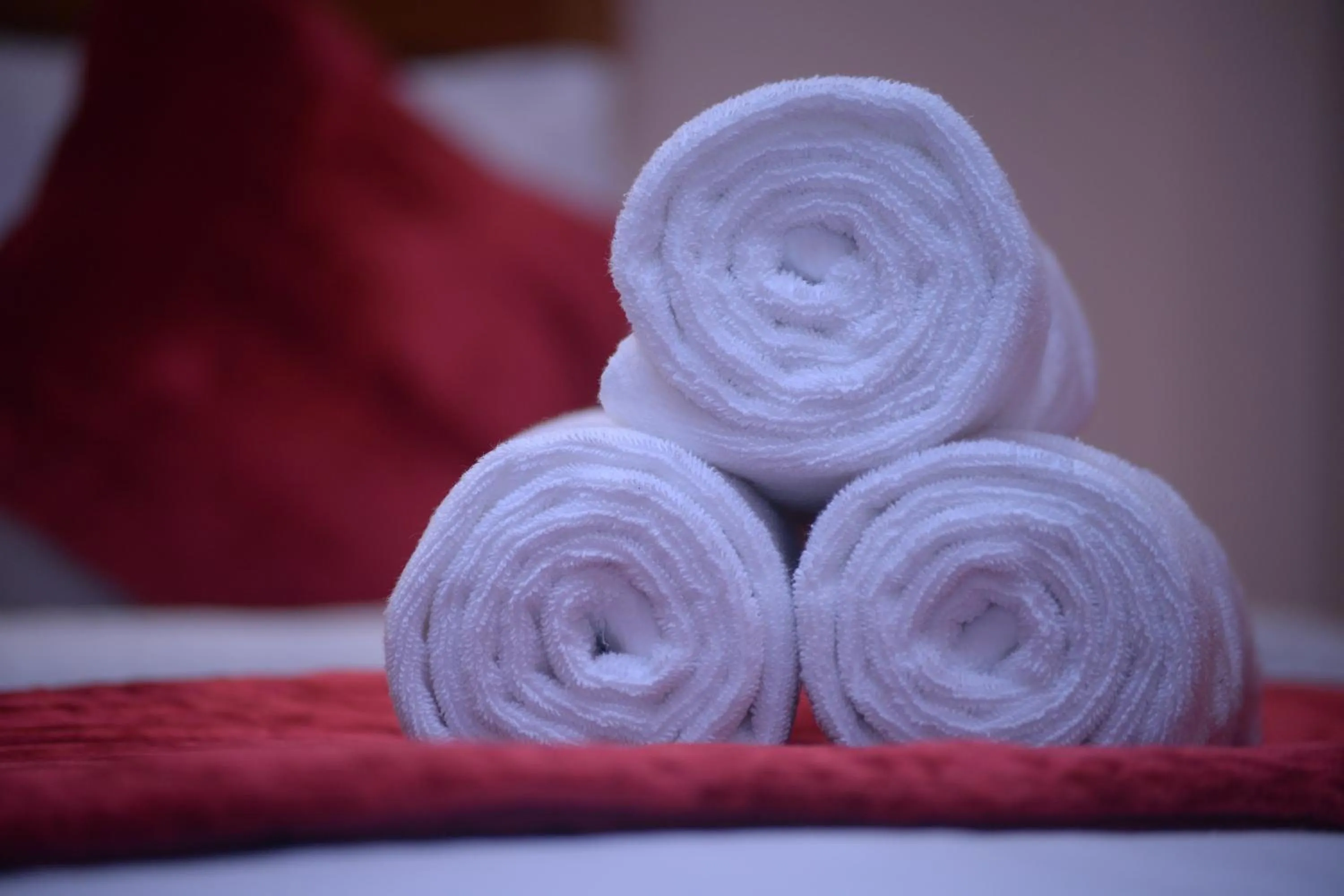 Shower, Bed in Al Madina Suites Doha