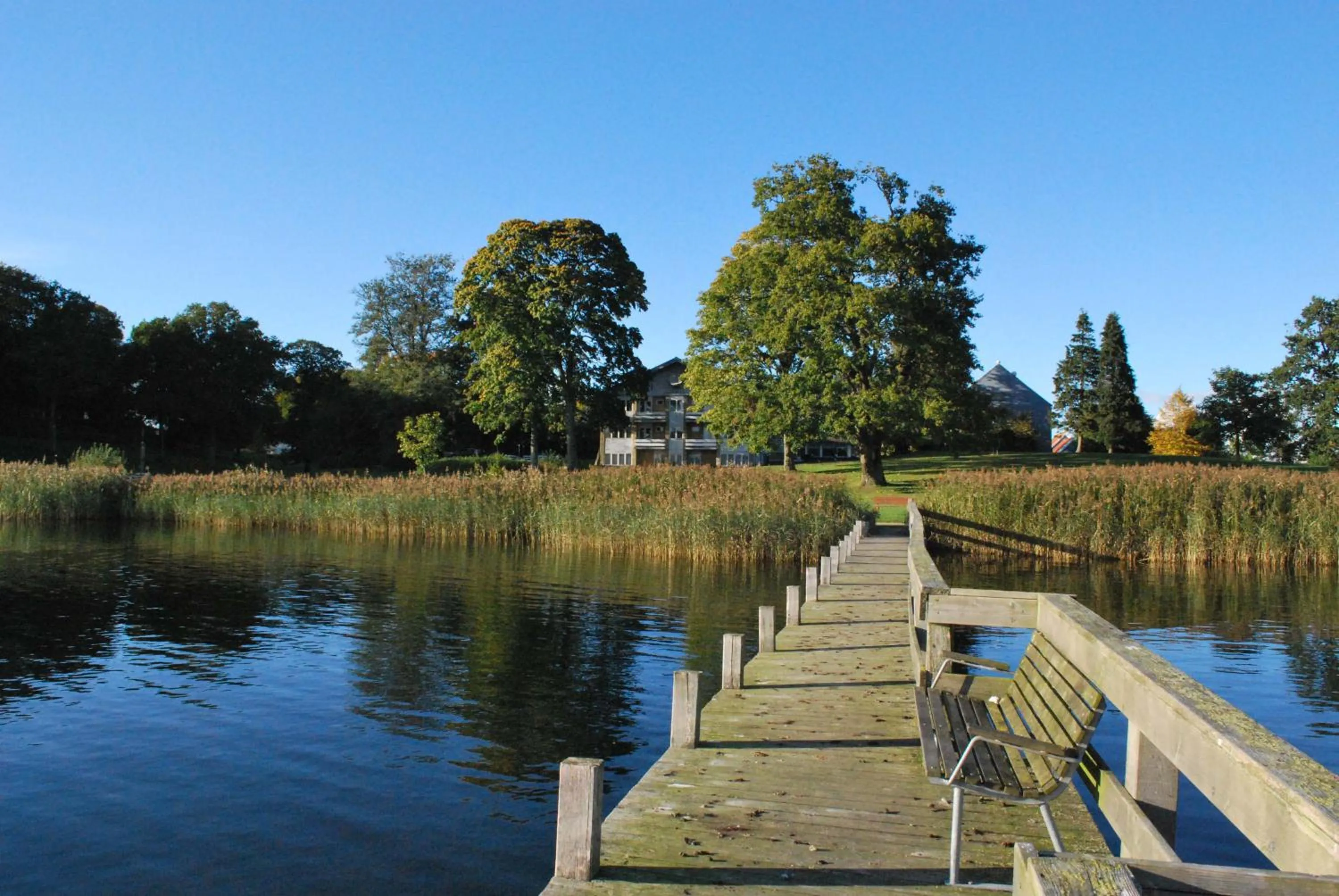 Natural landscape in Hotel Skanderborghus