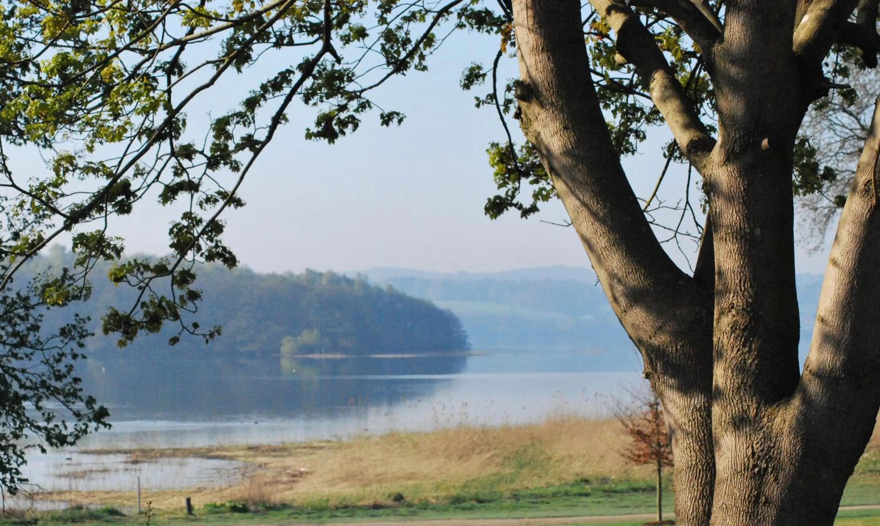 Lake view in Hotel Skanderborghus