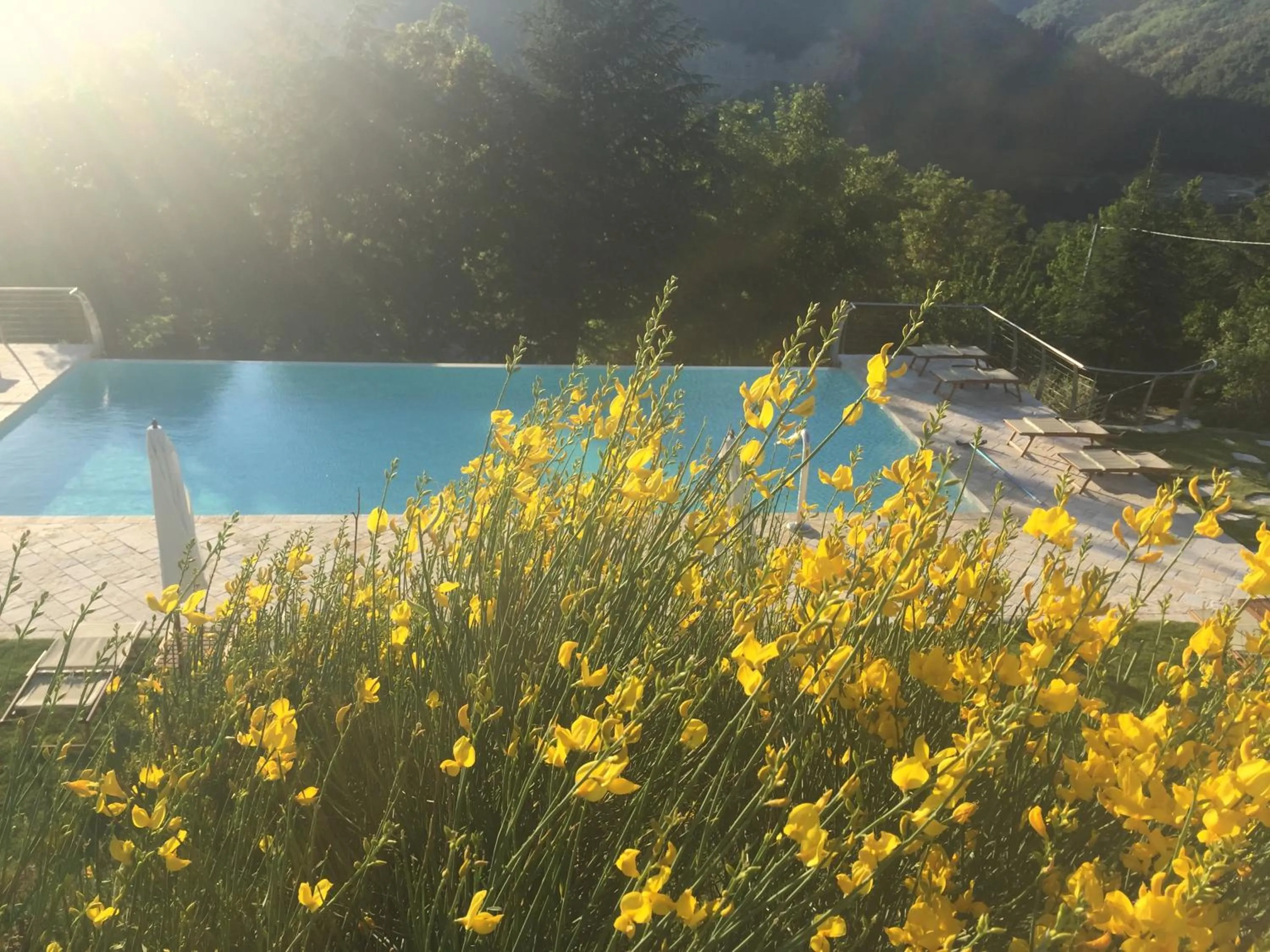 Pool view in Agriturismo Corte Dei Mori