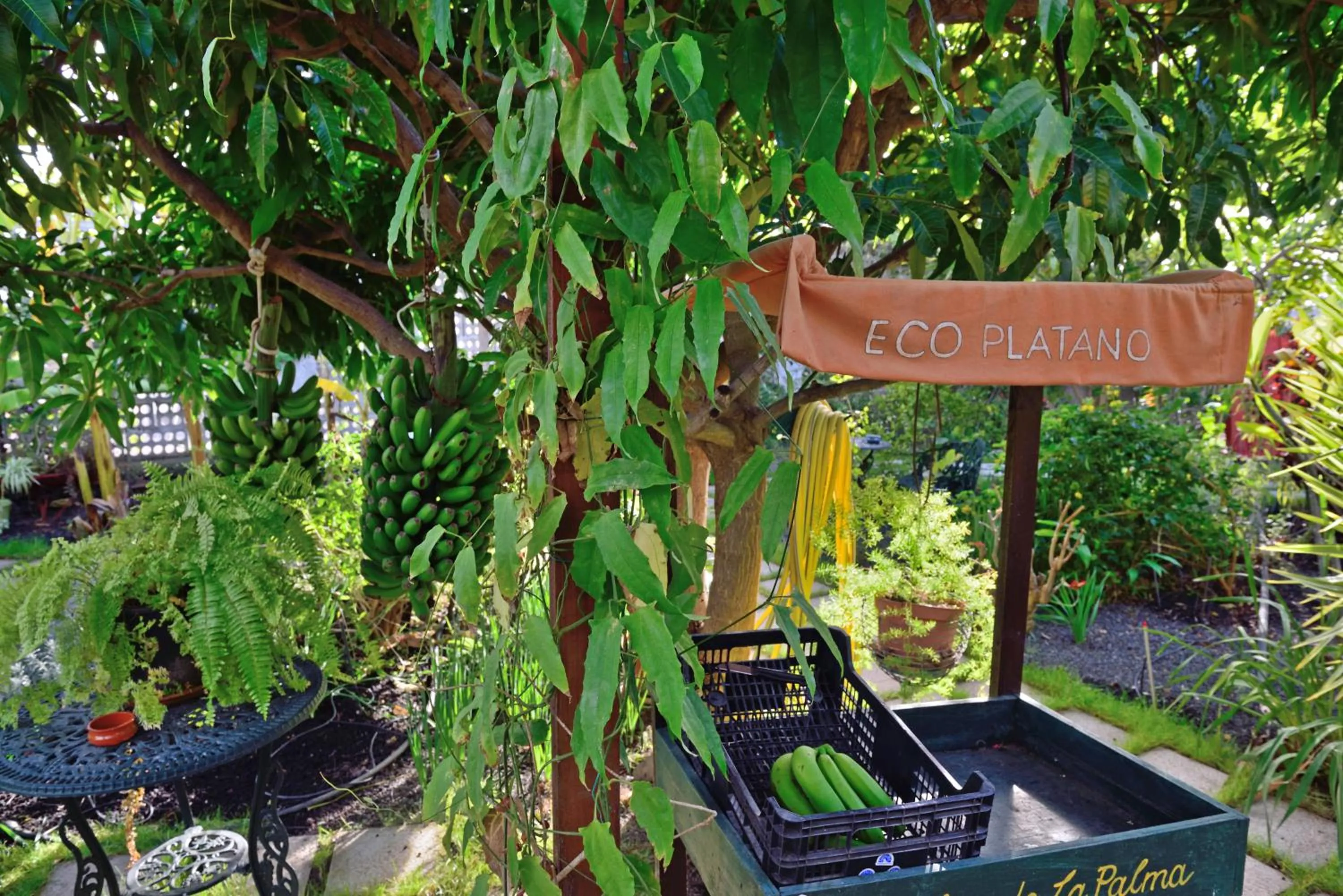 Garden in Apartamentos Adjovimar