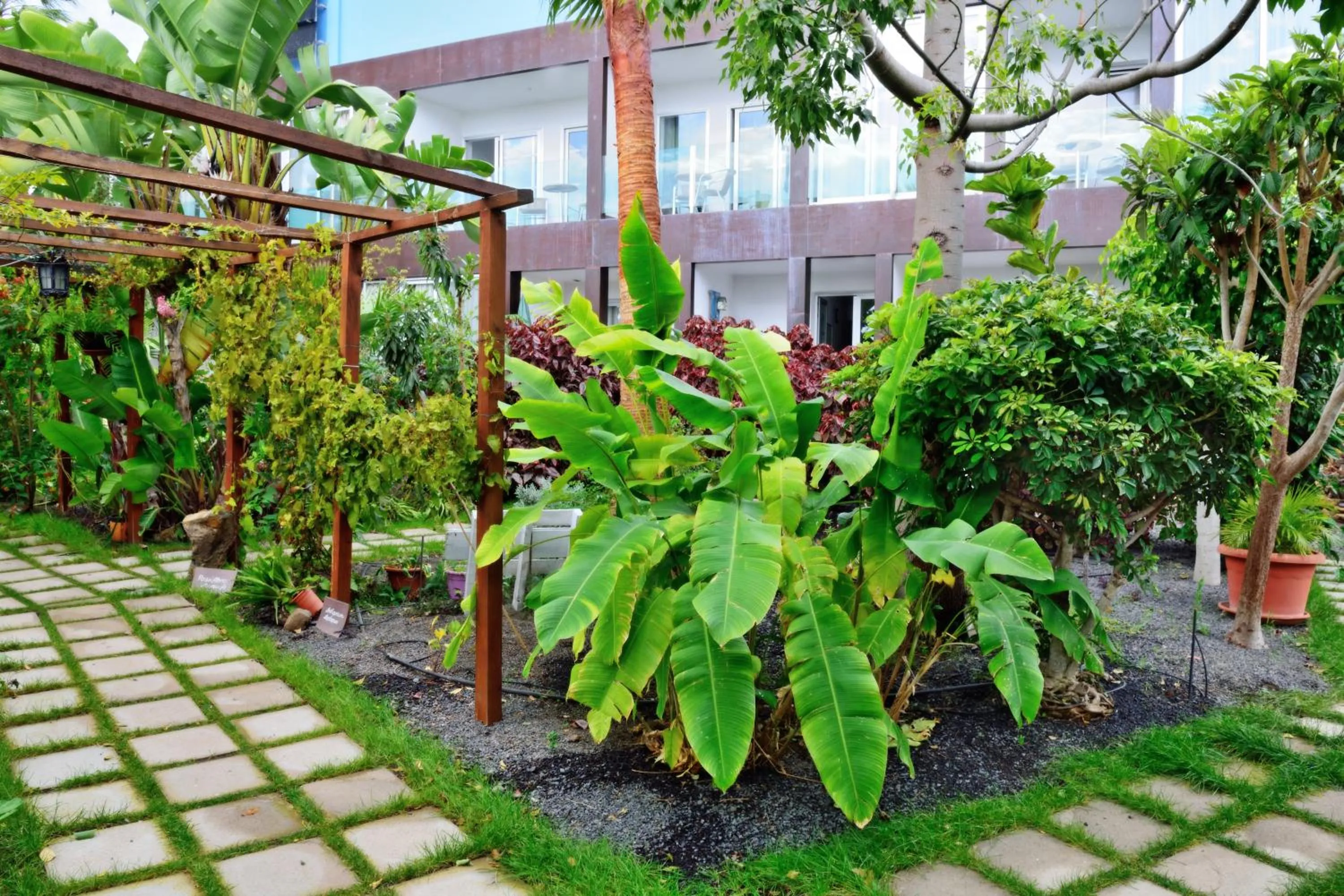 Garden in Apartamentos Adjovimar