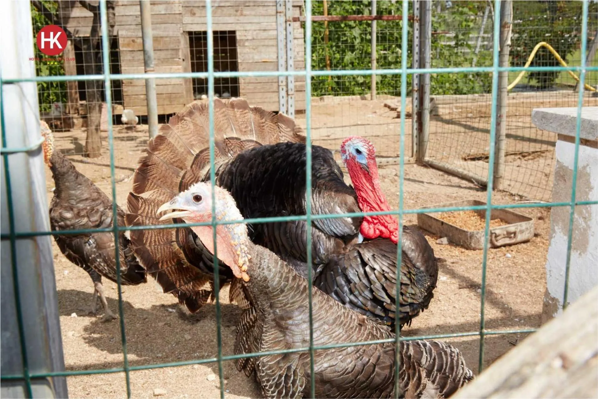 Hotel Residence Key Club