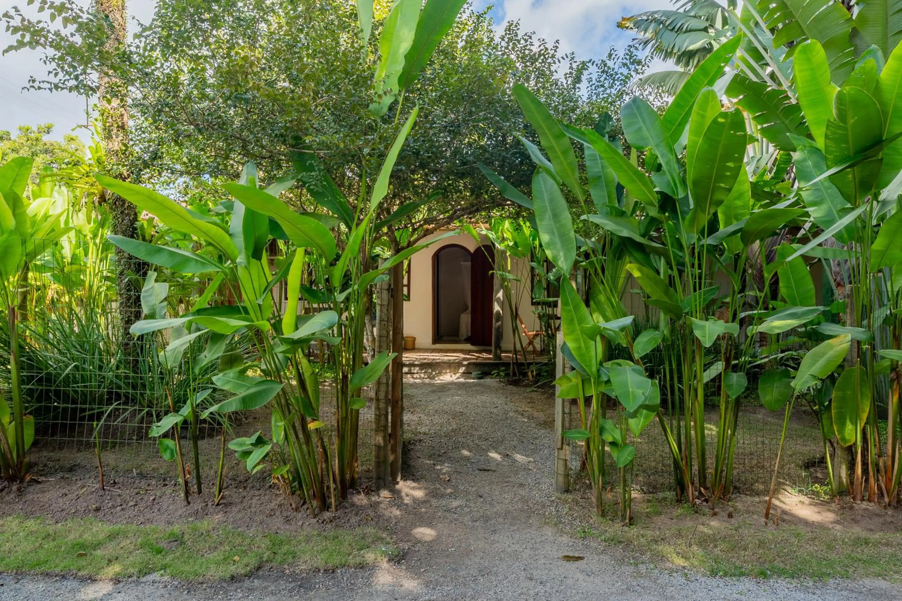 Natural landscape in Sueds Trancoso