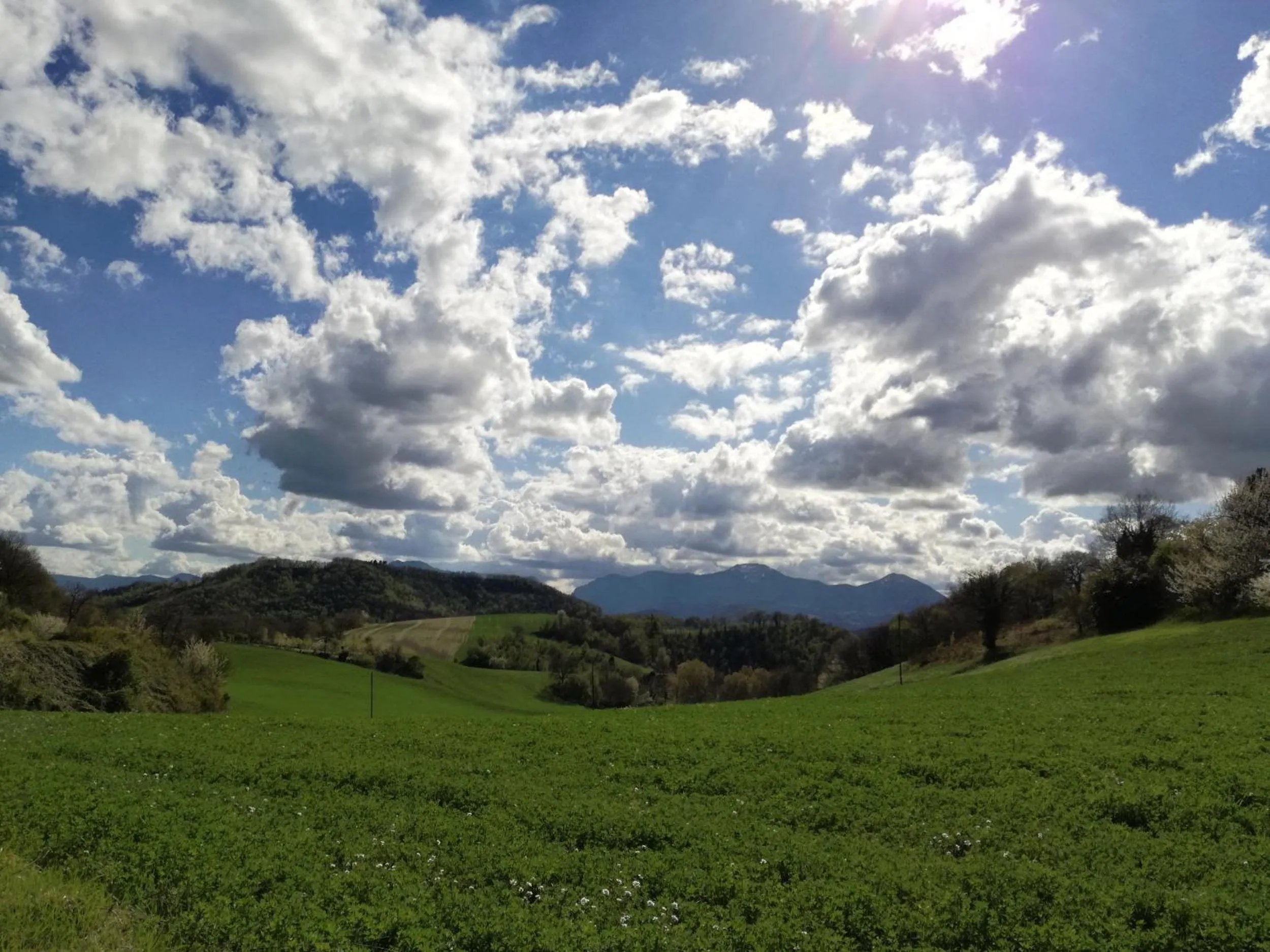 Spring in Casa Sponge B&B