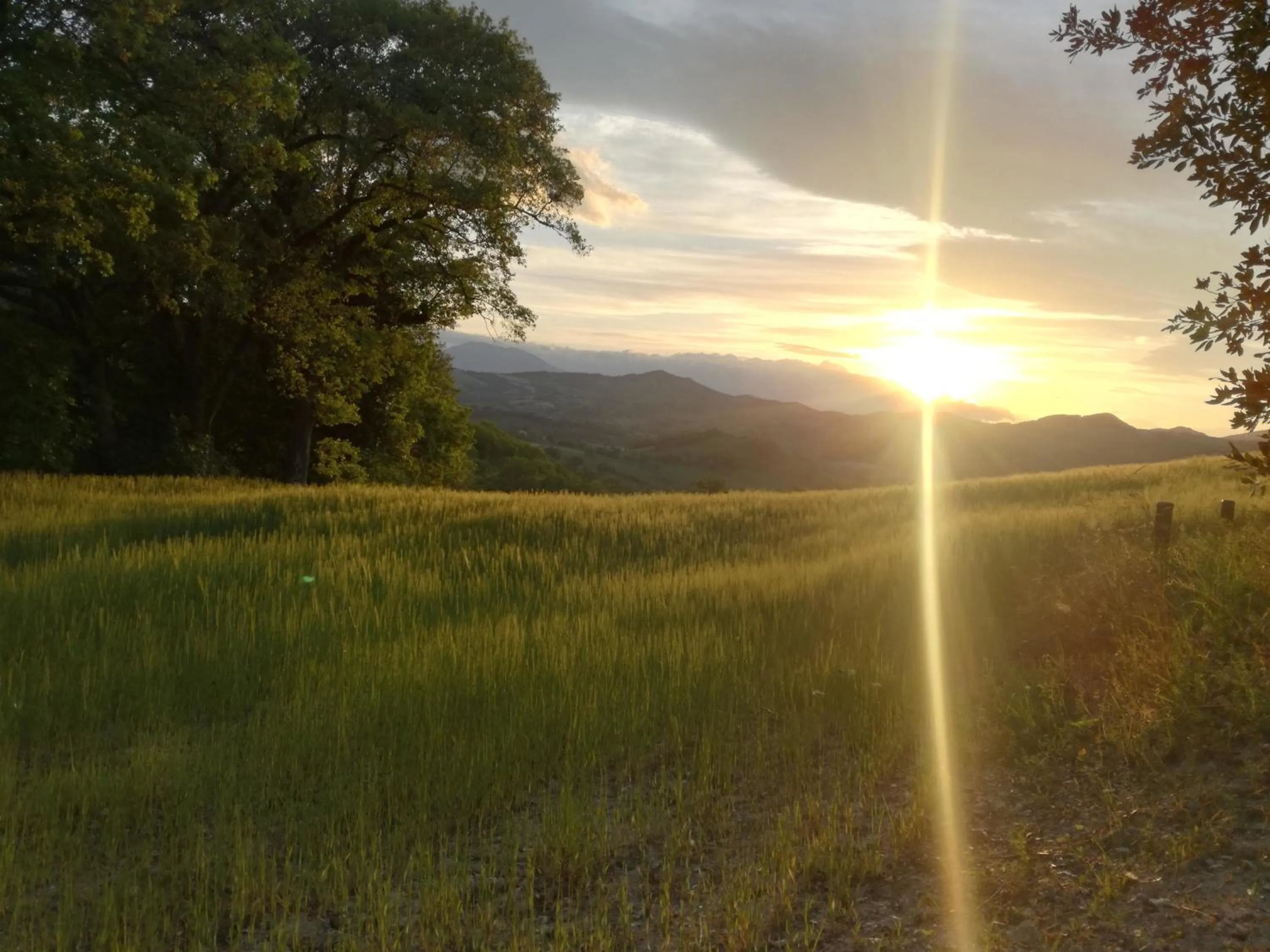 Spring in Casa Sponge B&B