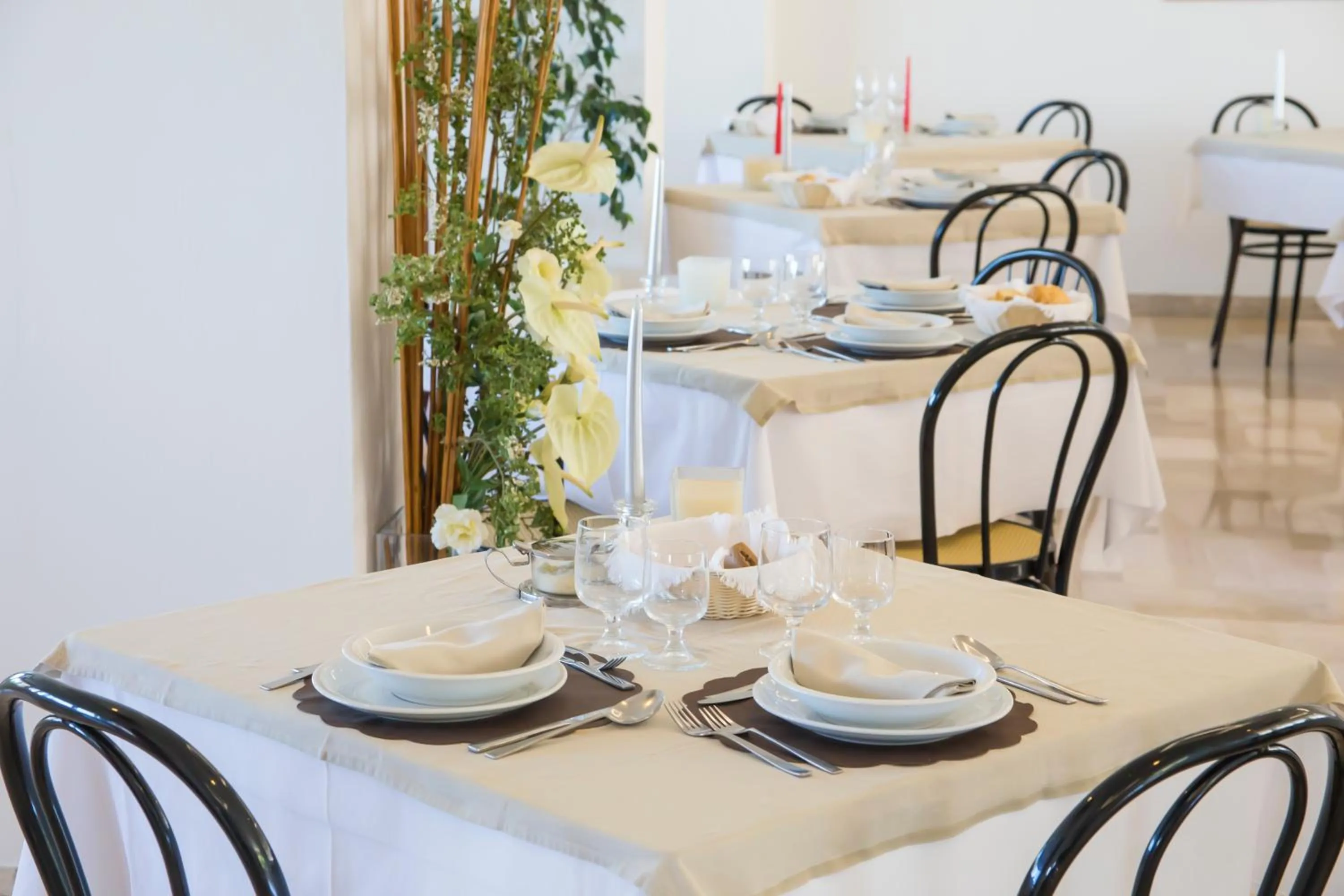 Restaurant/places to eat in Hotel Adler