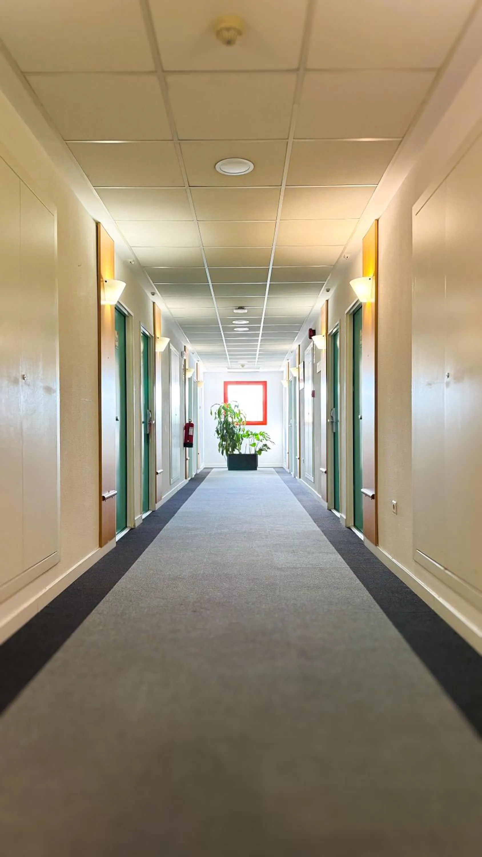 Property building in Hotel Iris Guadalajara