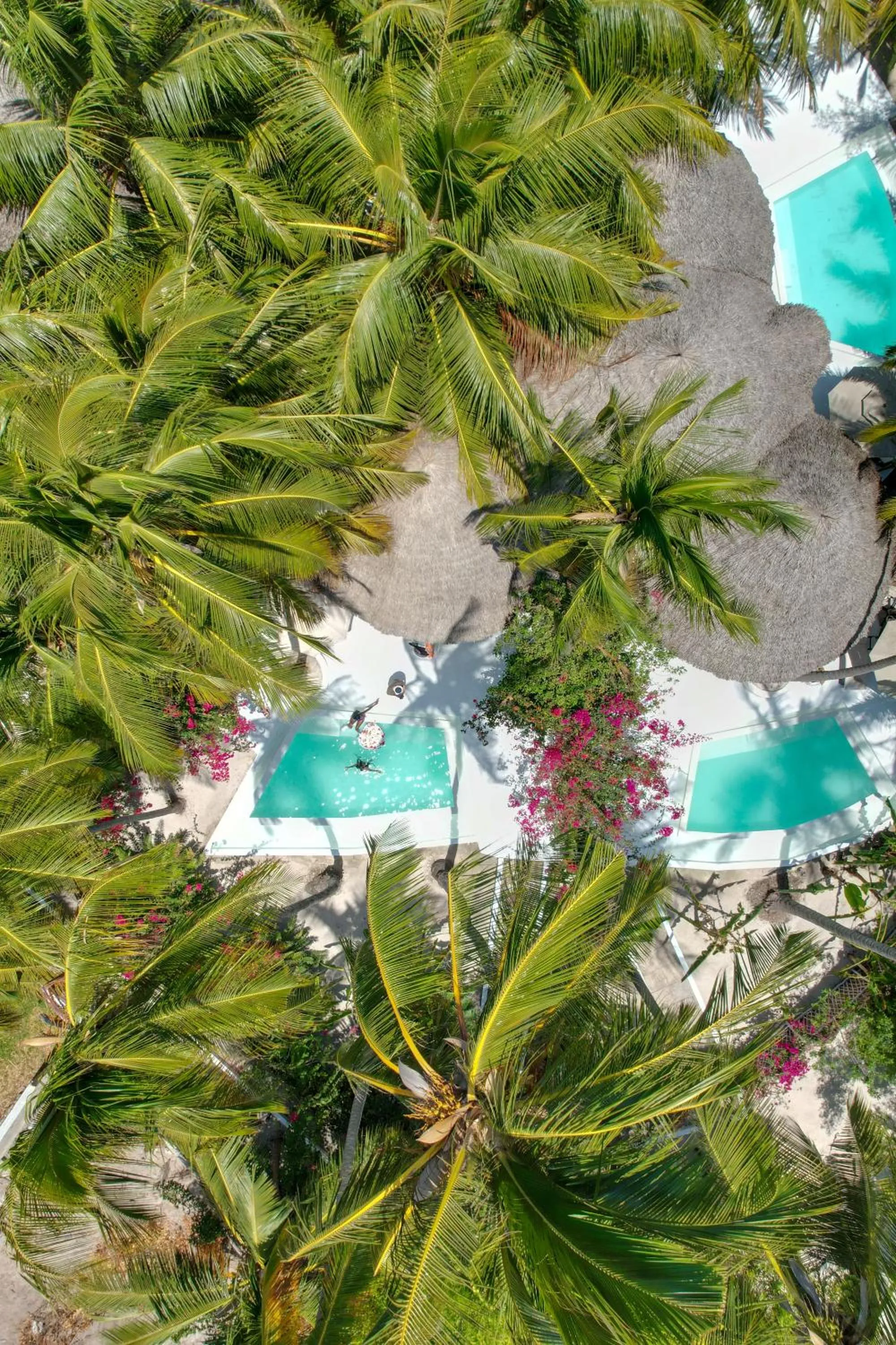 Day in Blue Moon Resort