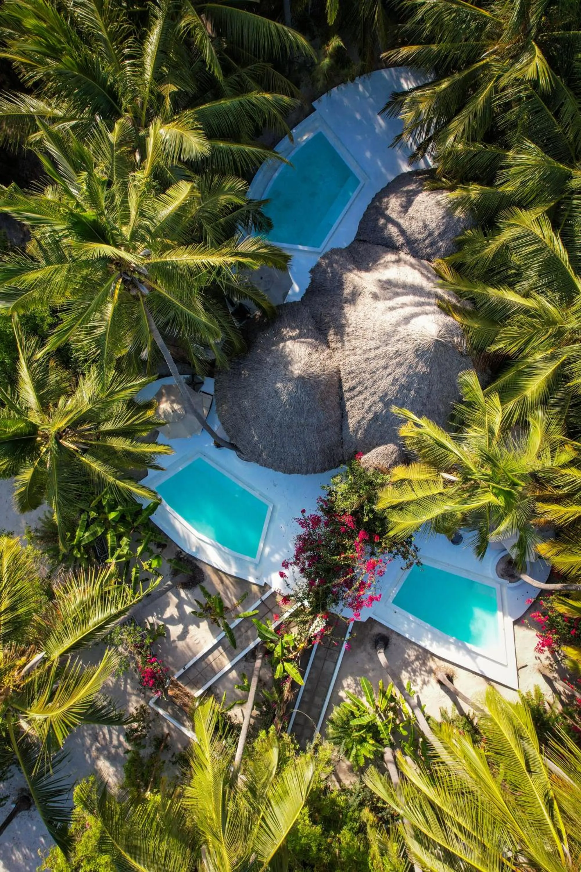 Day in Blue Moon Resort