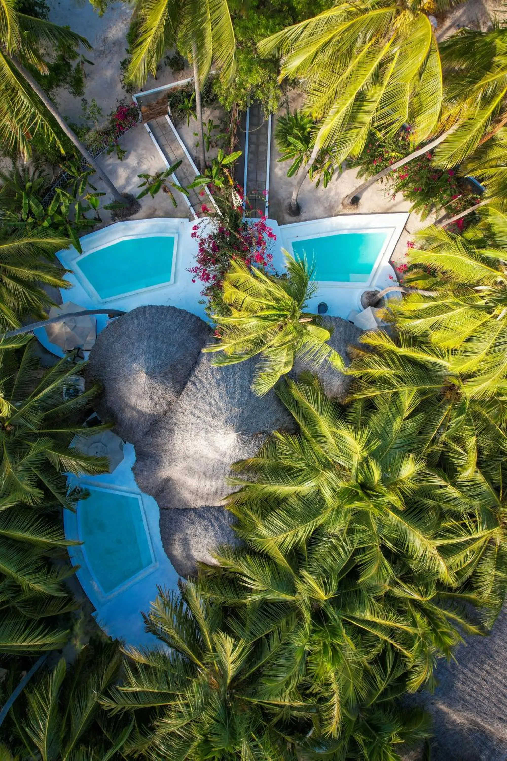 Day in Blue Moon Resort