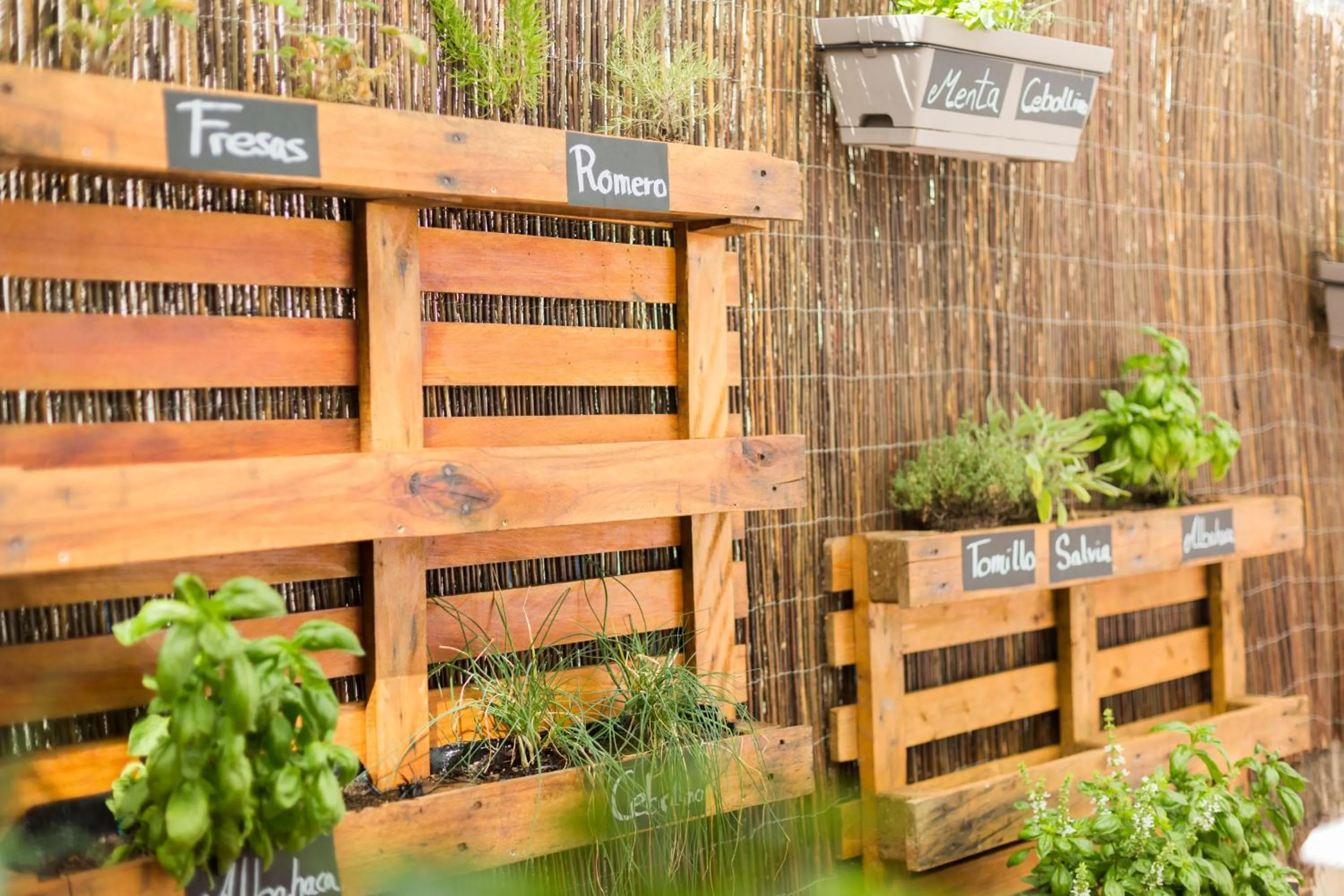 Patio in Ibis Barcelona Castelldefels
