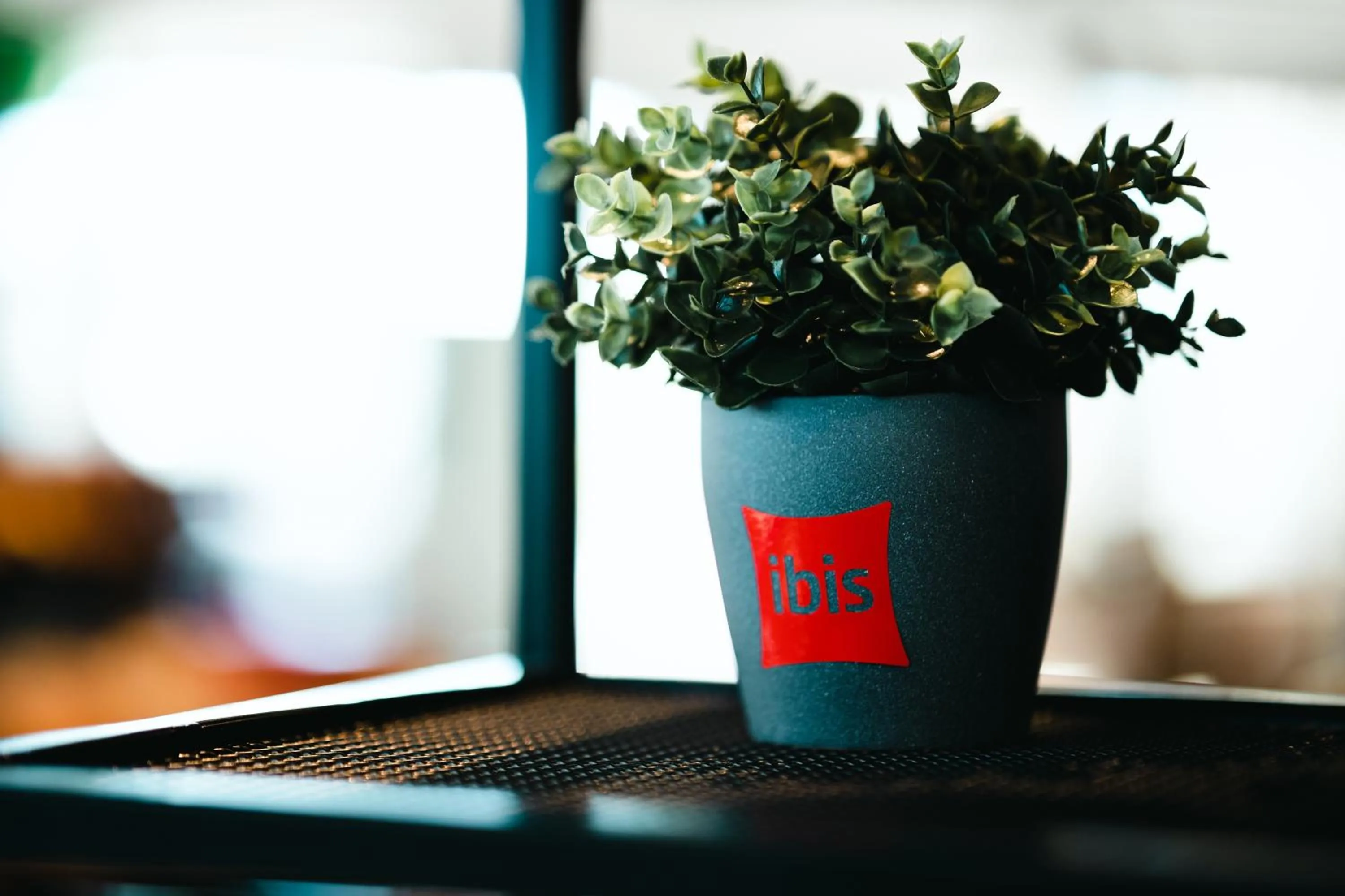 Buffet breakfast in Ibis Valladolid