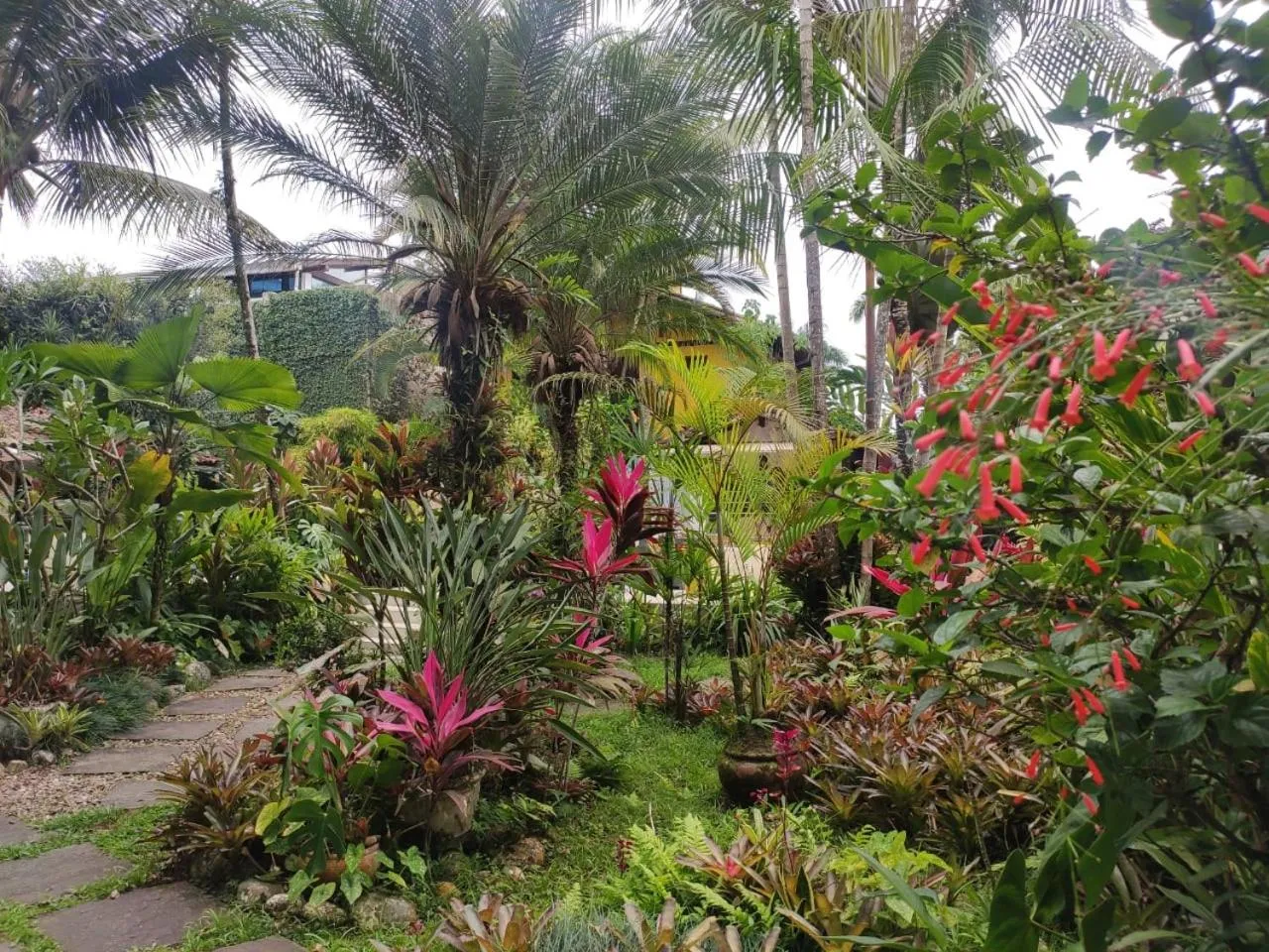 Natural landscape in Eliconial Paraty Pousada