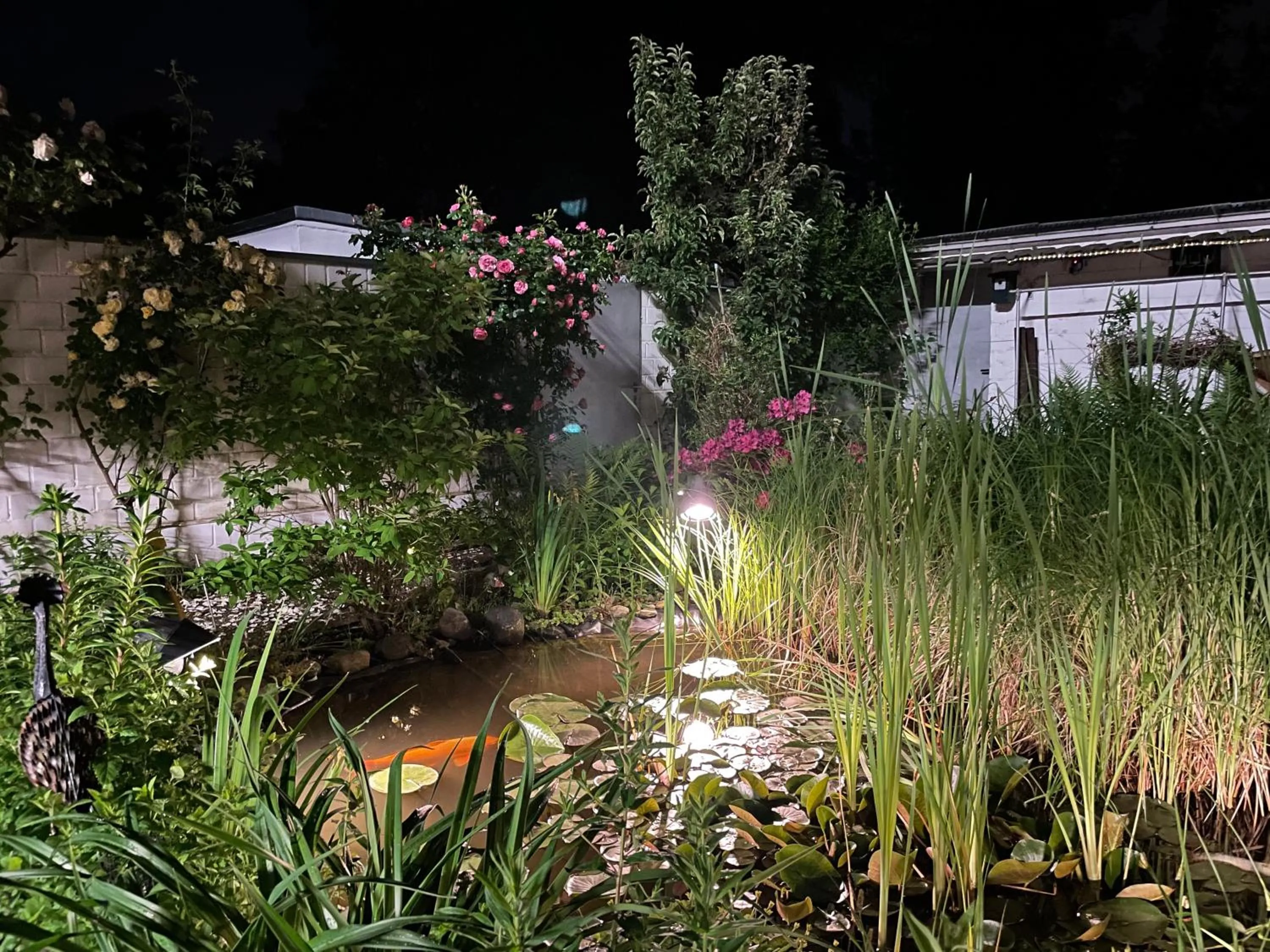 Garden in Hotel Unterfeldhaus