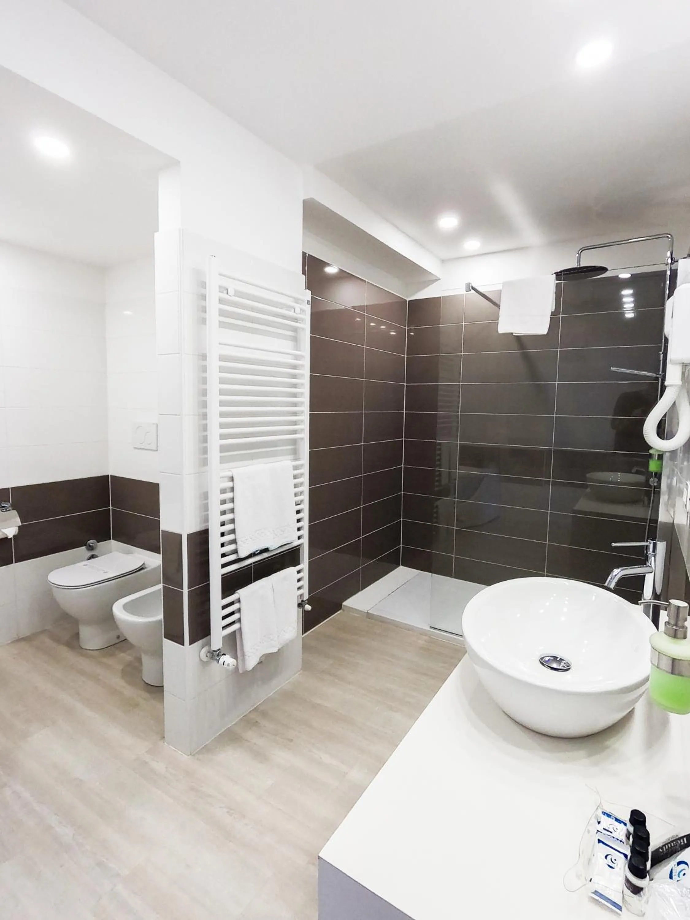 Bathroom in Hotel Glis