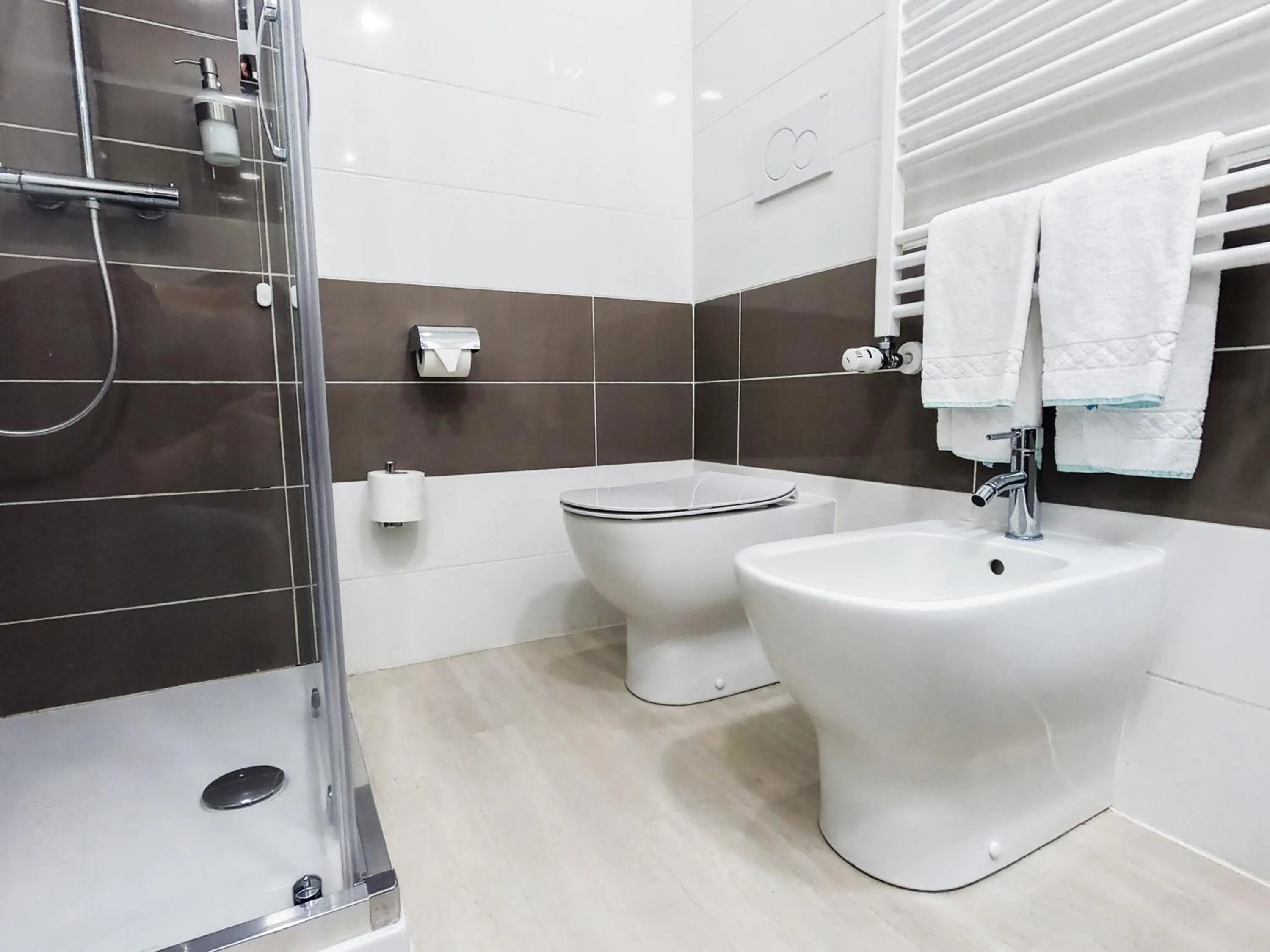 Toilet in Hotel Glis