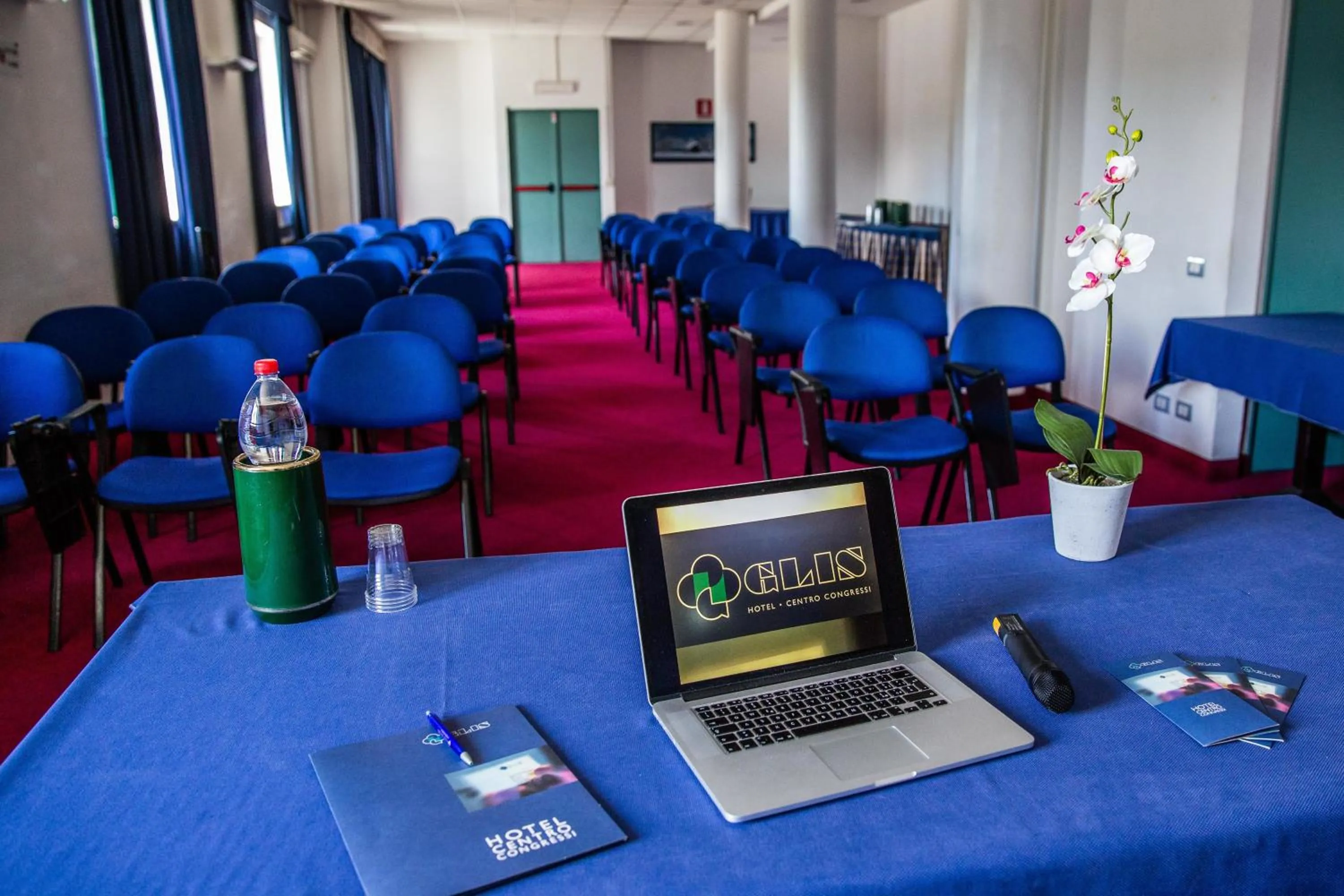 Business facilities in Hotel Glis
