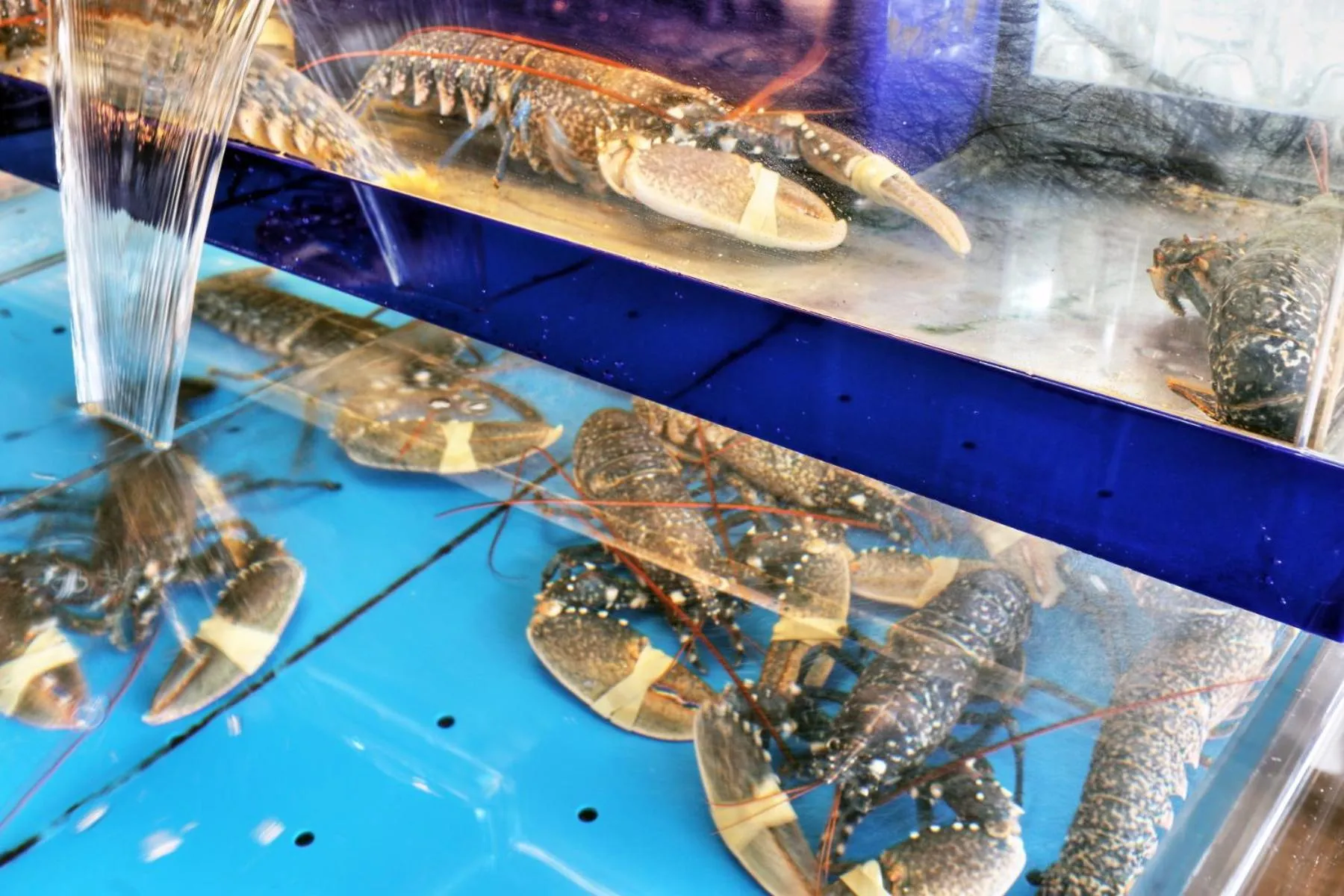 Food in La Table De Jeanne - Hôtel & Restaurant