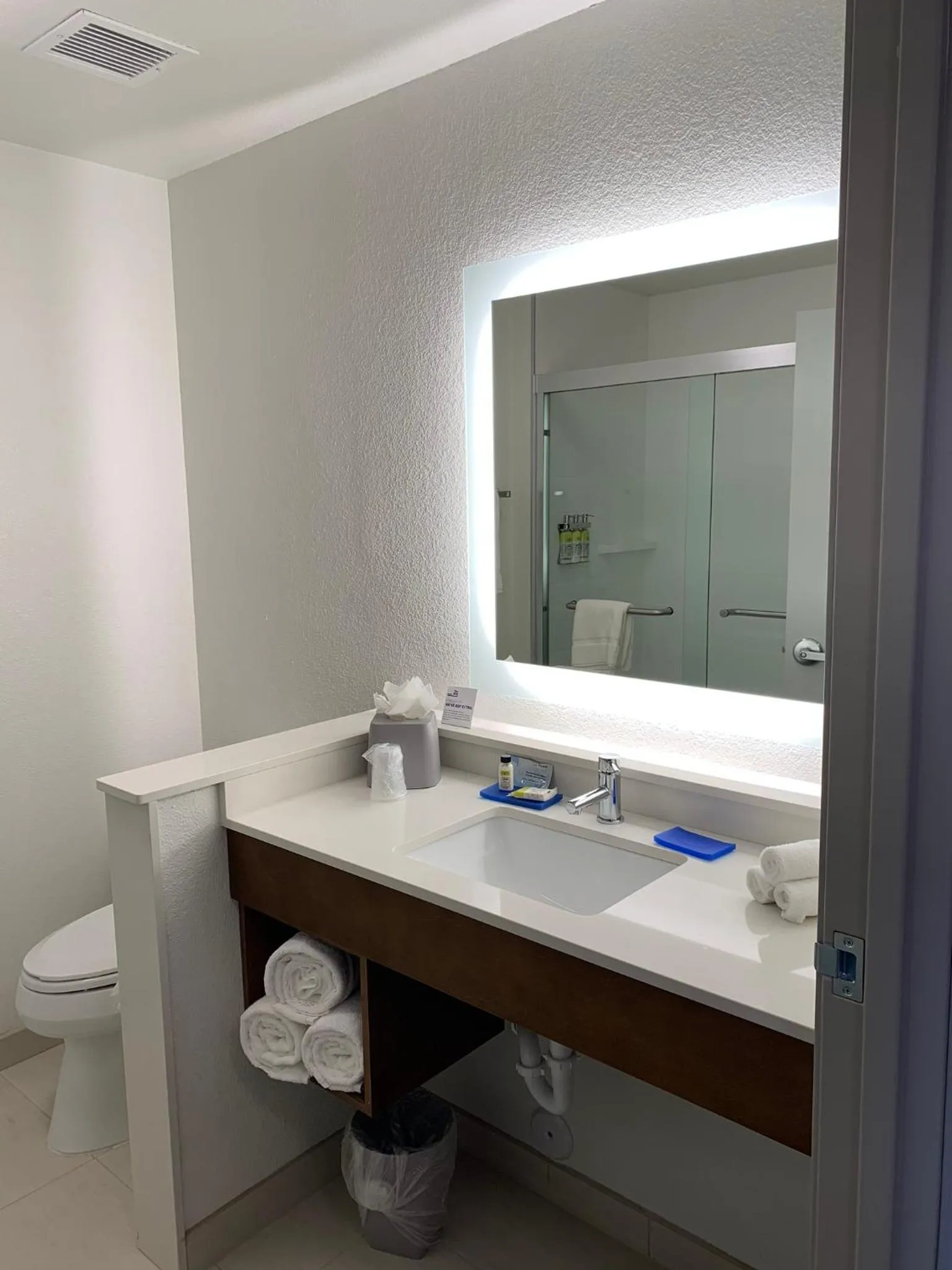 Toilet in Holiday Inn Express & Suites - Aurora Medical Campus by IHG