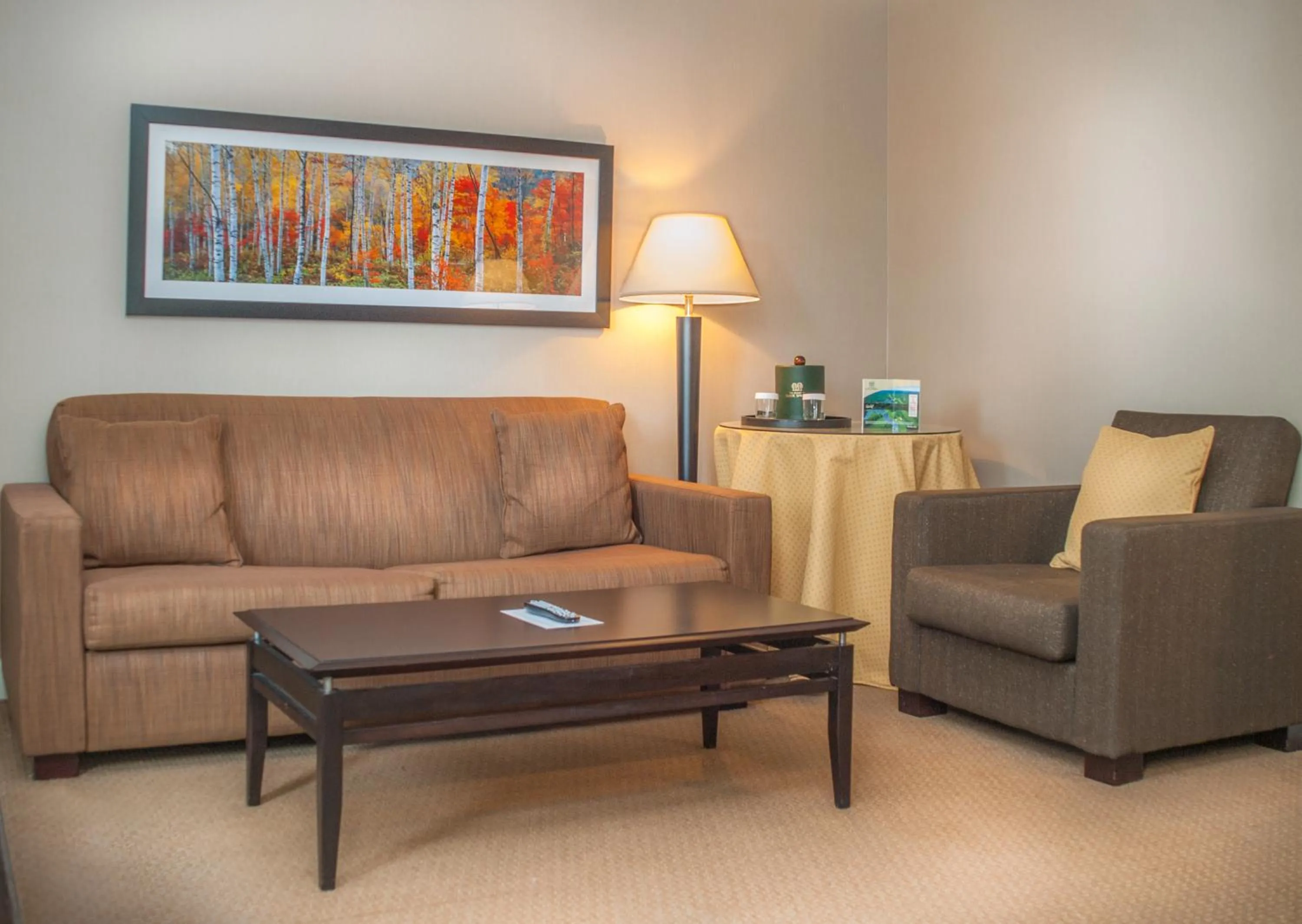 Living room in The Resort at Glade Springs