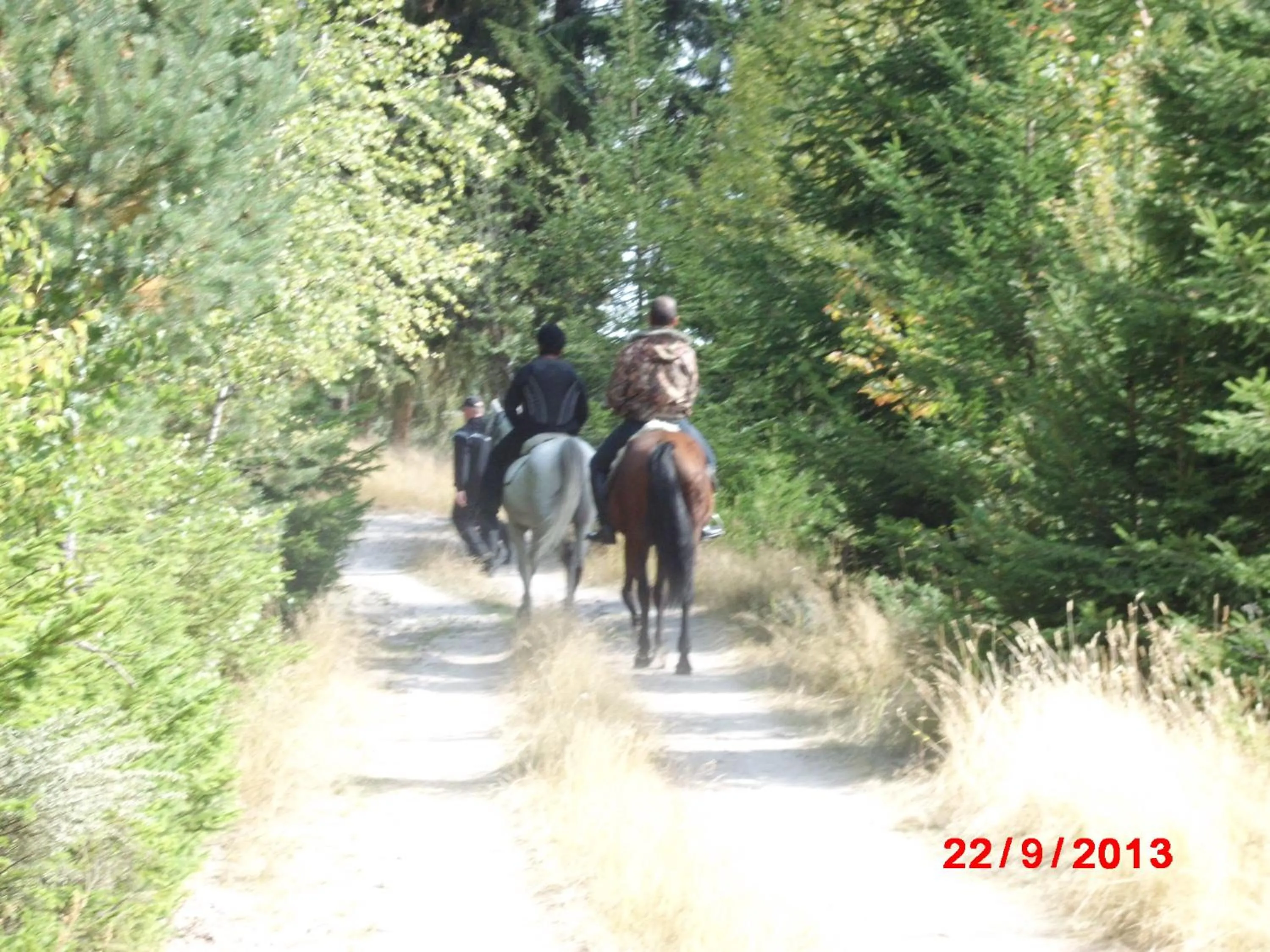 Horse-riding in Семеен хотел Кристал