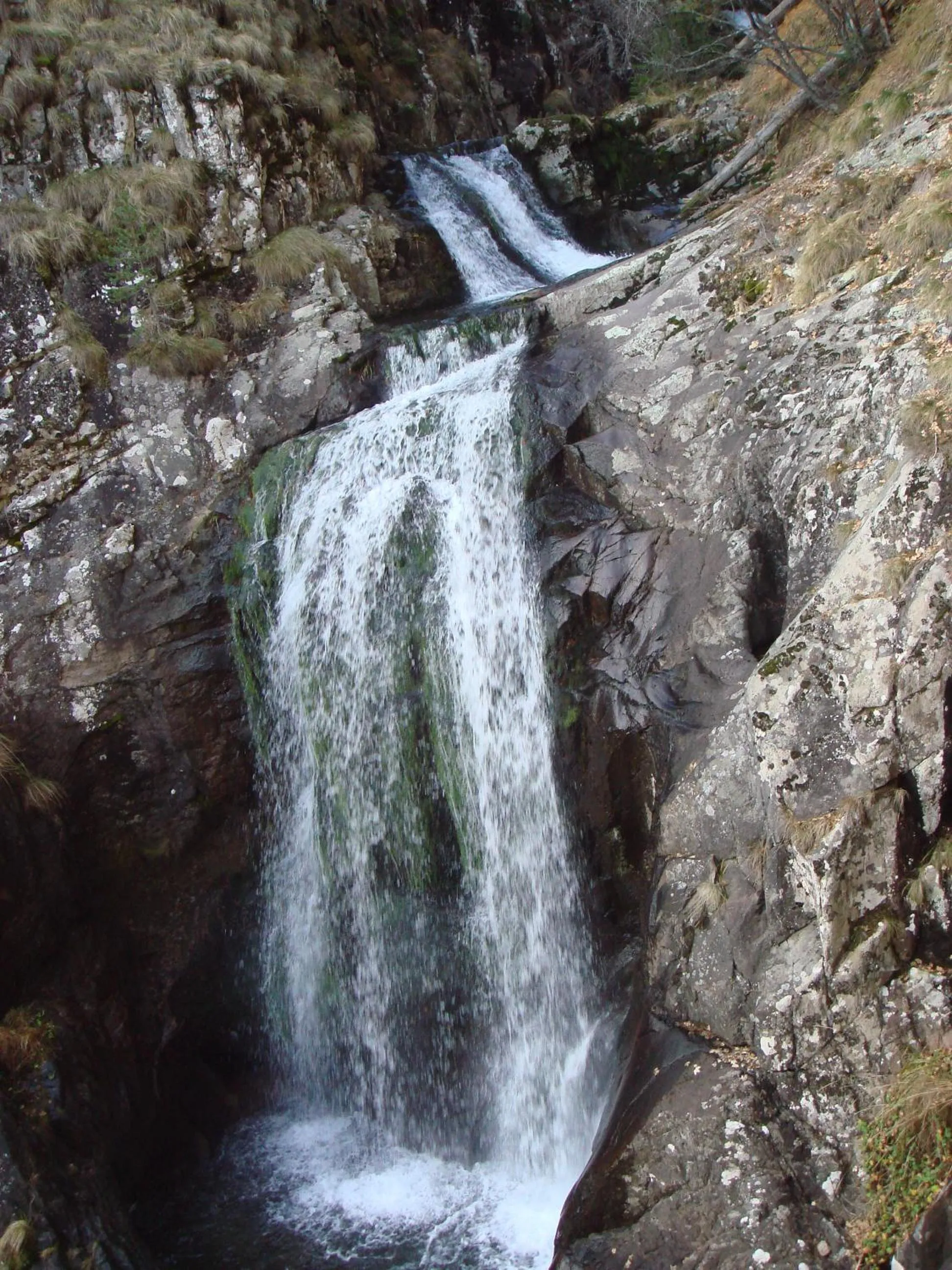 Area and facilities in Семеен хотел Кристал