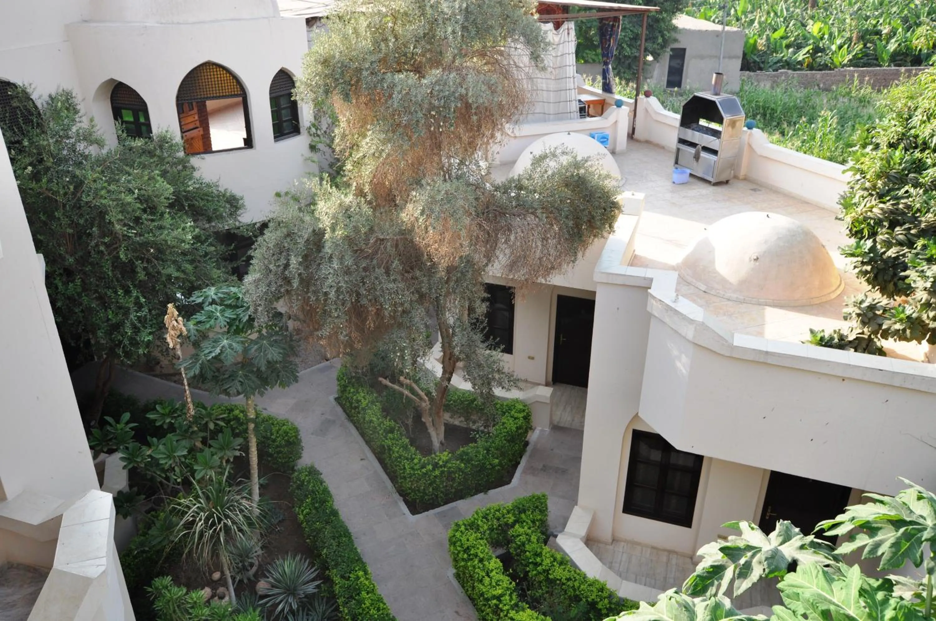 Garden view in El Nakhil Hotel